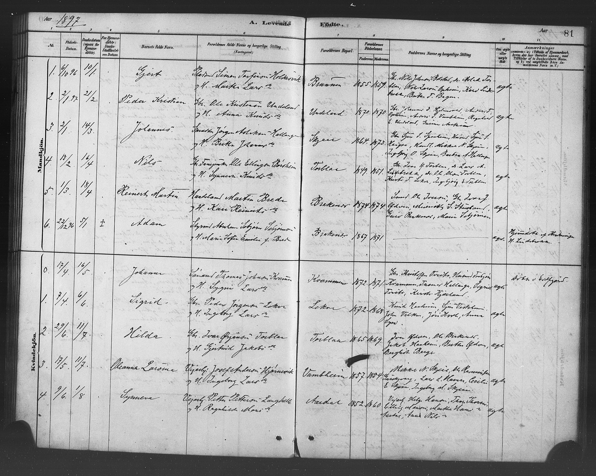 Ulvik sokneprestembete, SAB/A-78801/H/Haa: Parish register (official) no. B 1, 1878-1897, p. 81