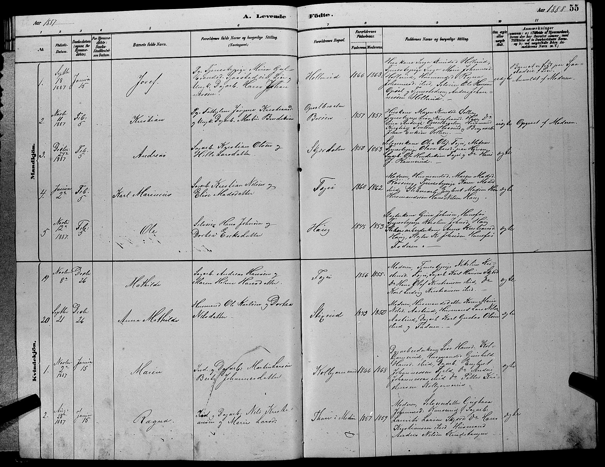 Hole kirkebøker, SAKO/A-228/G/Gb/L0002: Parish register (copy) no. II 2, 1878-1889, p. 55