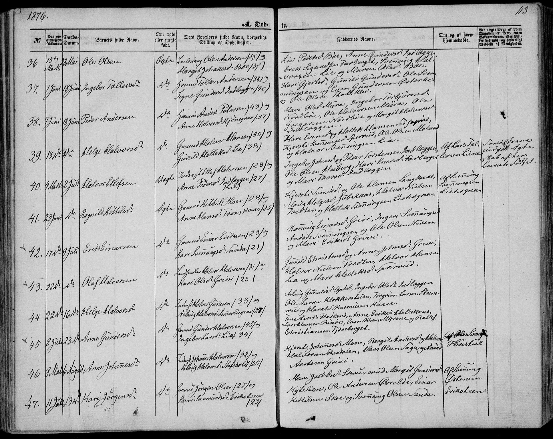 Bø kirkebøker, SAKO/A-257/F/Fa/L0009: Parish register (official) no. 9, 1862-1879, p. 113