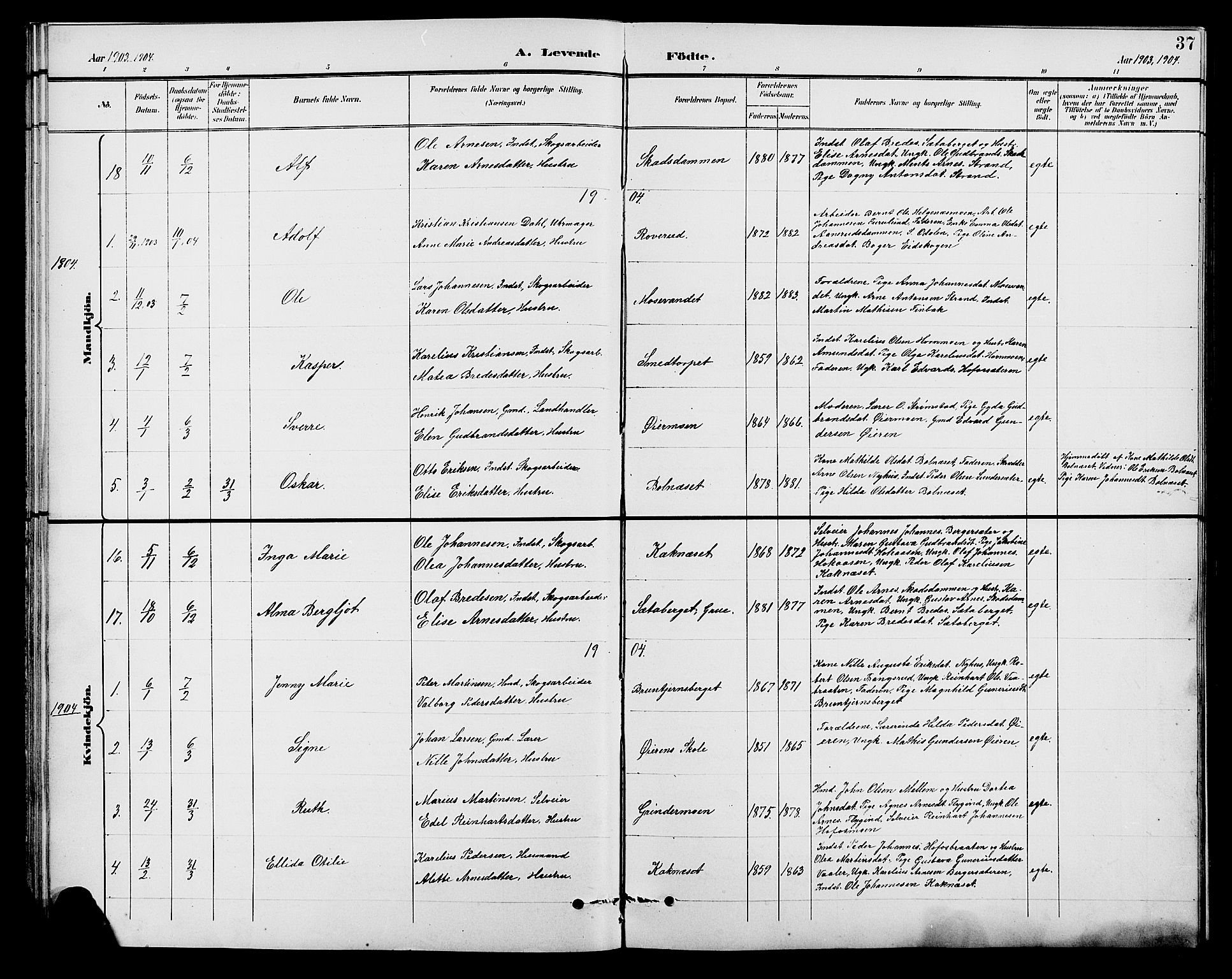 Brandval prestekontor, AV/SAH-PREST-034/H/Ha/Hab/L0001: Parish register (copy) no. 1, 1895-1910, p. 37