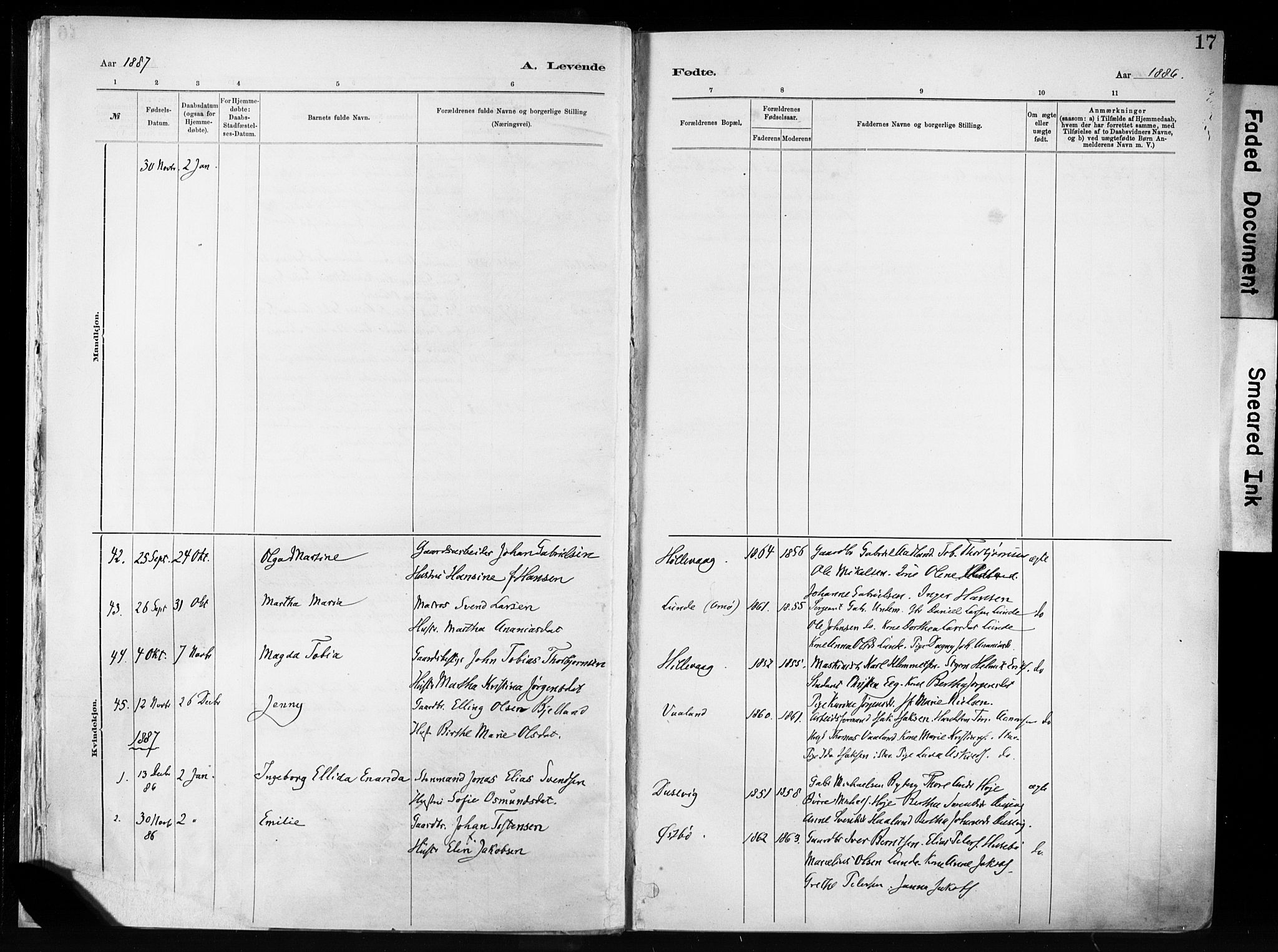Hetland sokneprestkontor, SAST/A-101826/30/30BA/L0011: Parish register (official) no. A 11, 1884-1911, p. 17