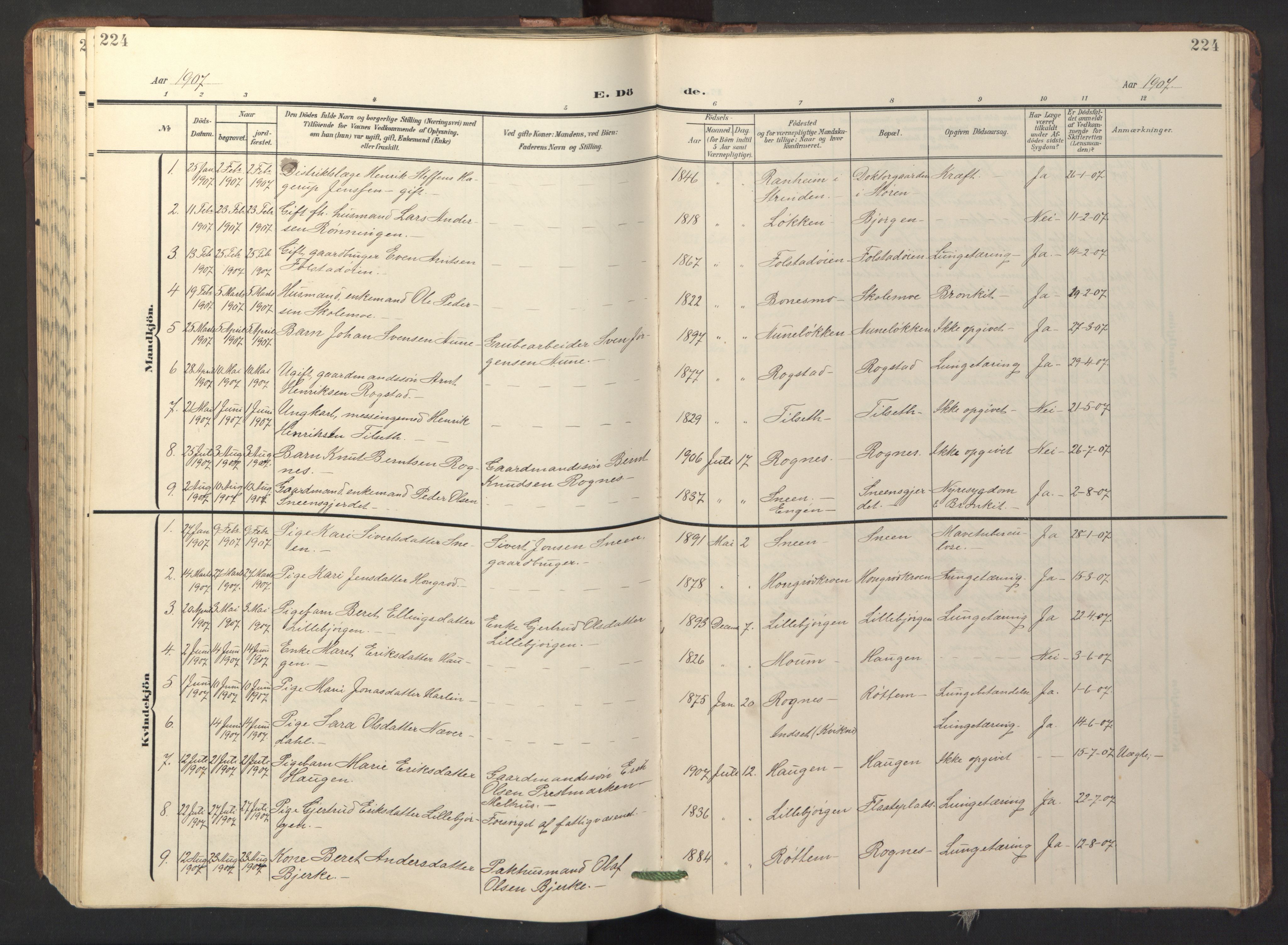 Ministerialprotokoller, klokkerbøker og fødselsregistre - Sør-Trøndelag, SAT/A-1456/687/L1019: Parish register (copy) no. 687C03, 1904-1931, p. 224