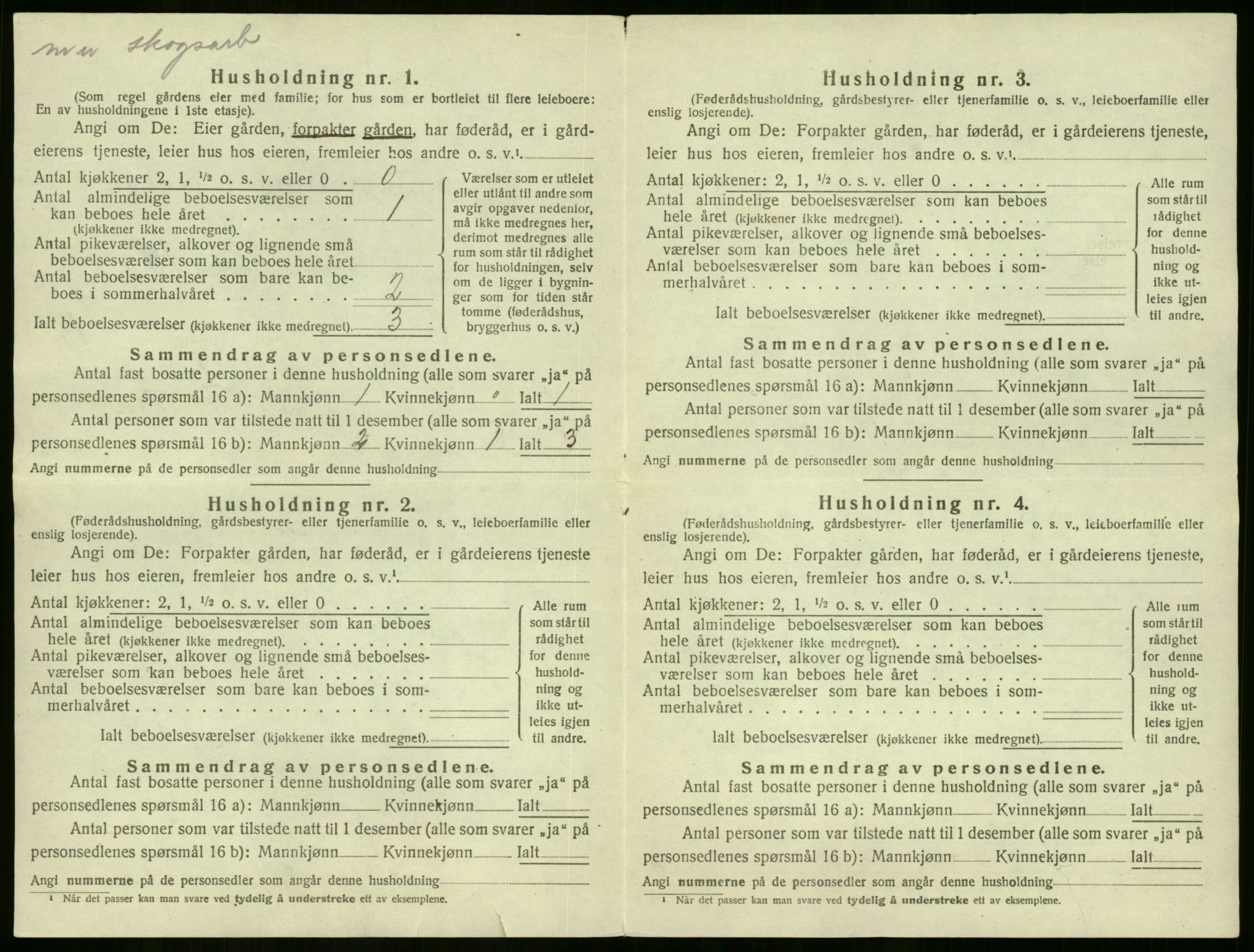 SAKO, 1920 census for Flesberg, 1920, p. 960