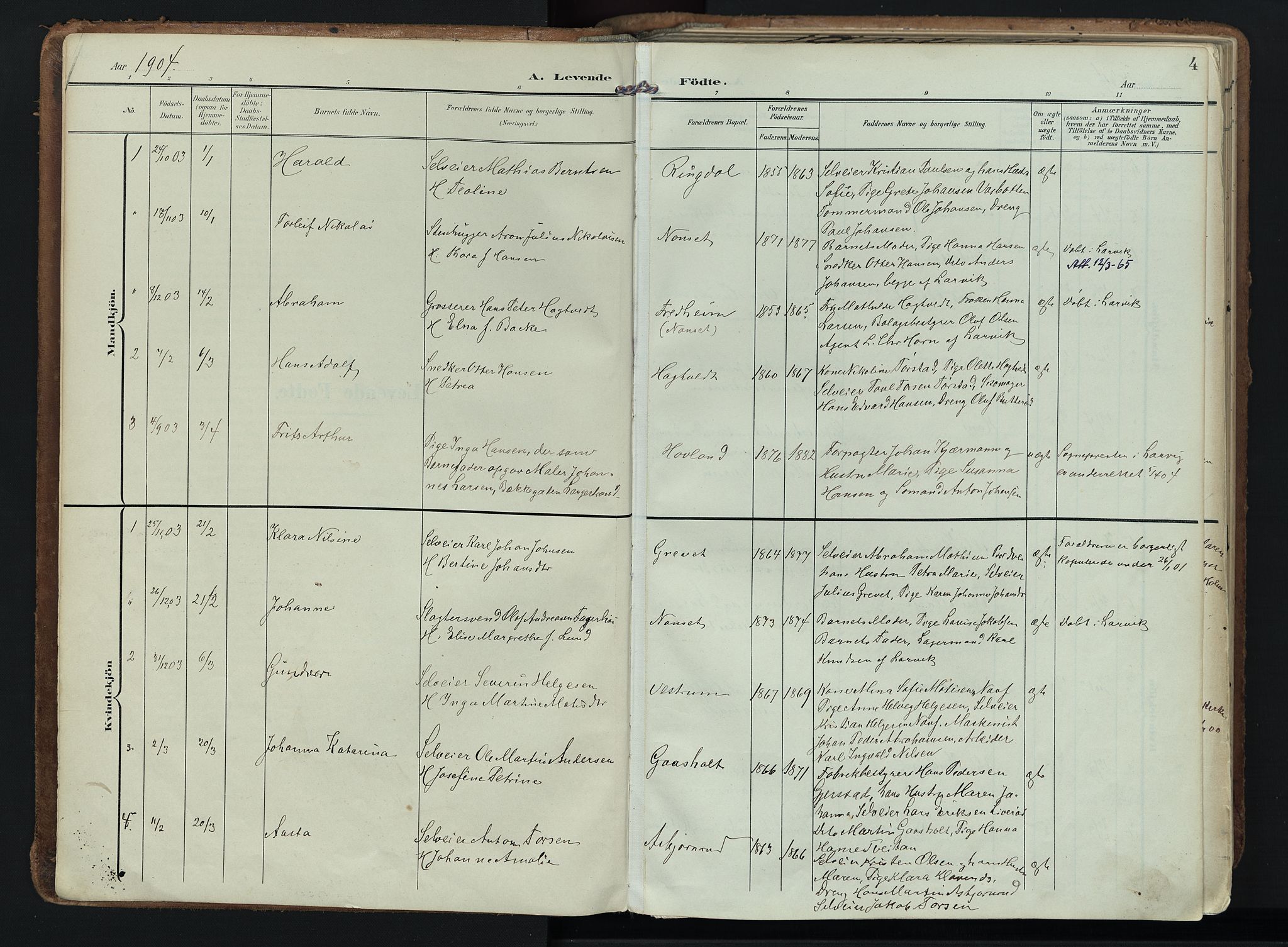 Hedrum kirkebøker, SAKO/A-344/F/Fa/L0010: Parish register (official) no. I 10, 1904-1918, p. 4