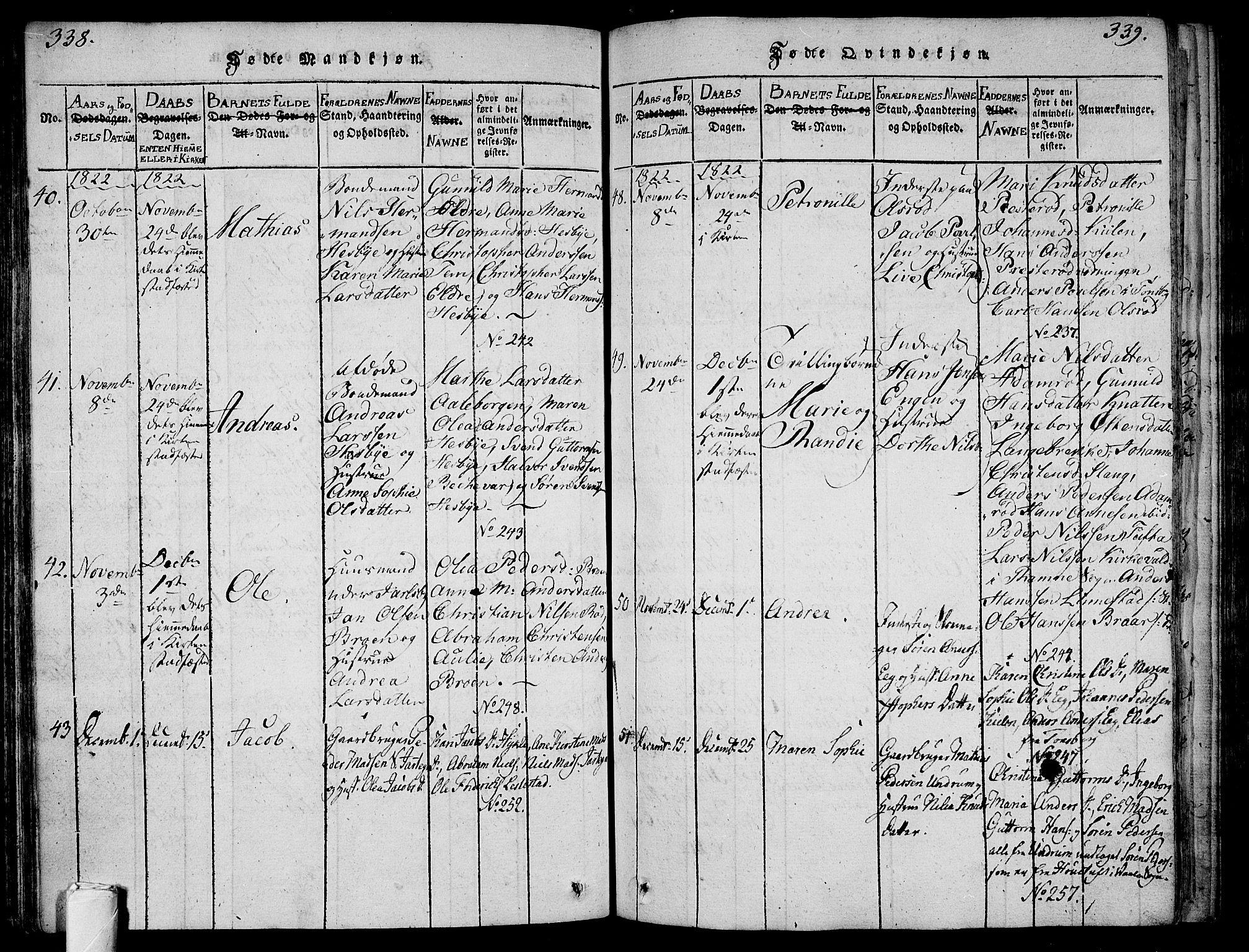 Sem kirkebøker, AV/SAKO-A-5/F/Fa/L0004: Parish register (official) no. I 4, 1814-1825, p. 338-339