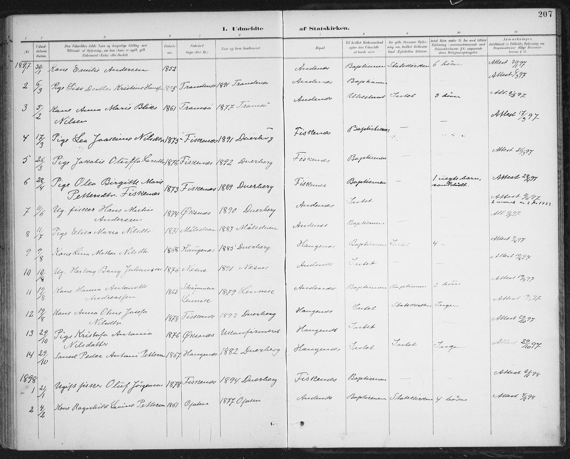 Ministerialprotokoller, klokkerbøker og fødselsregistre - Nordland, SAT/A-1459/899/L1437: Parish register (official) no. 899A05, 1897-1908, p. 207