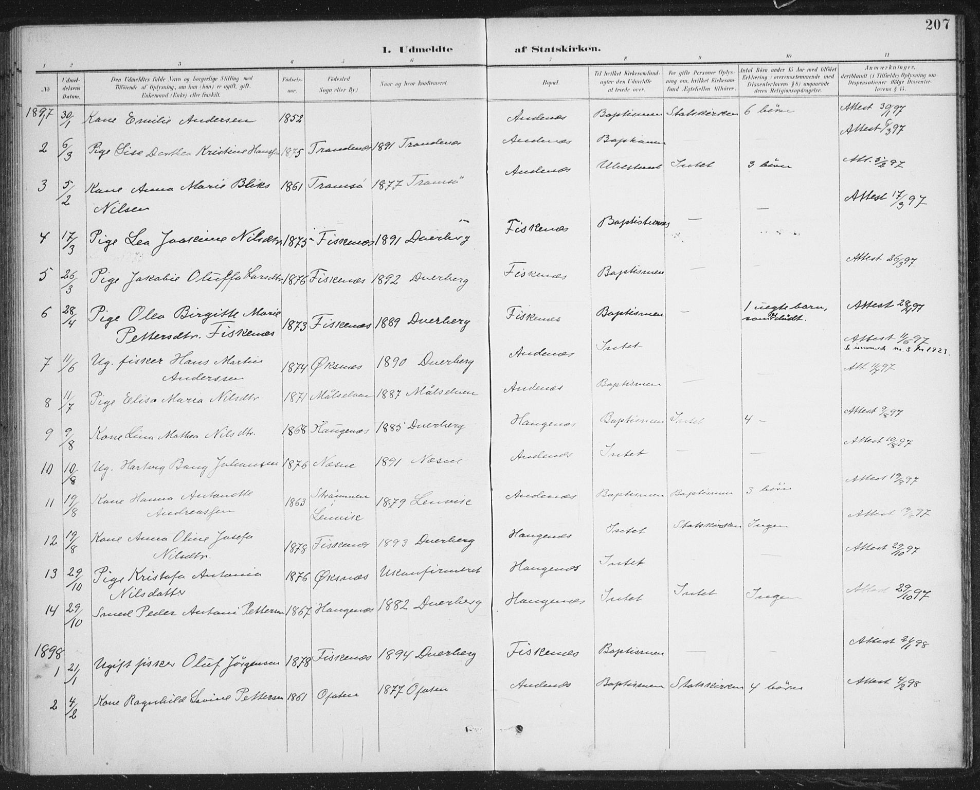 Ministerialprotokoller, klokkerbøker og fødselsregistre - Nordland, AV/SAT-A-1459/899/L1437: Parish register (official) no. 899A05, 1897-1908, p. 207