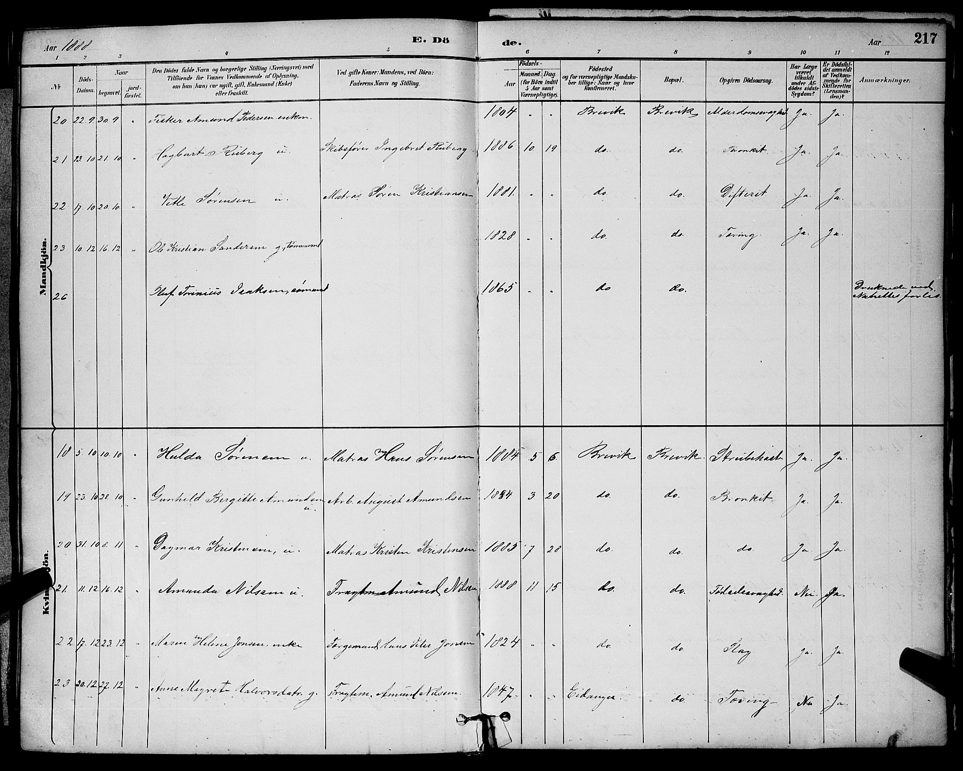 Brevik kirkebøker, SAKO/A-255/G/Ga/L0004: Parish register (copy) no. 4, 1882-1900, p. 217