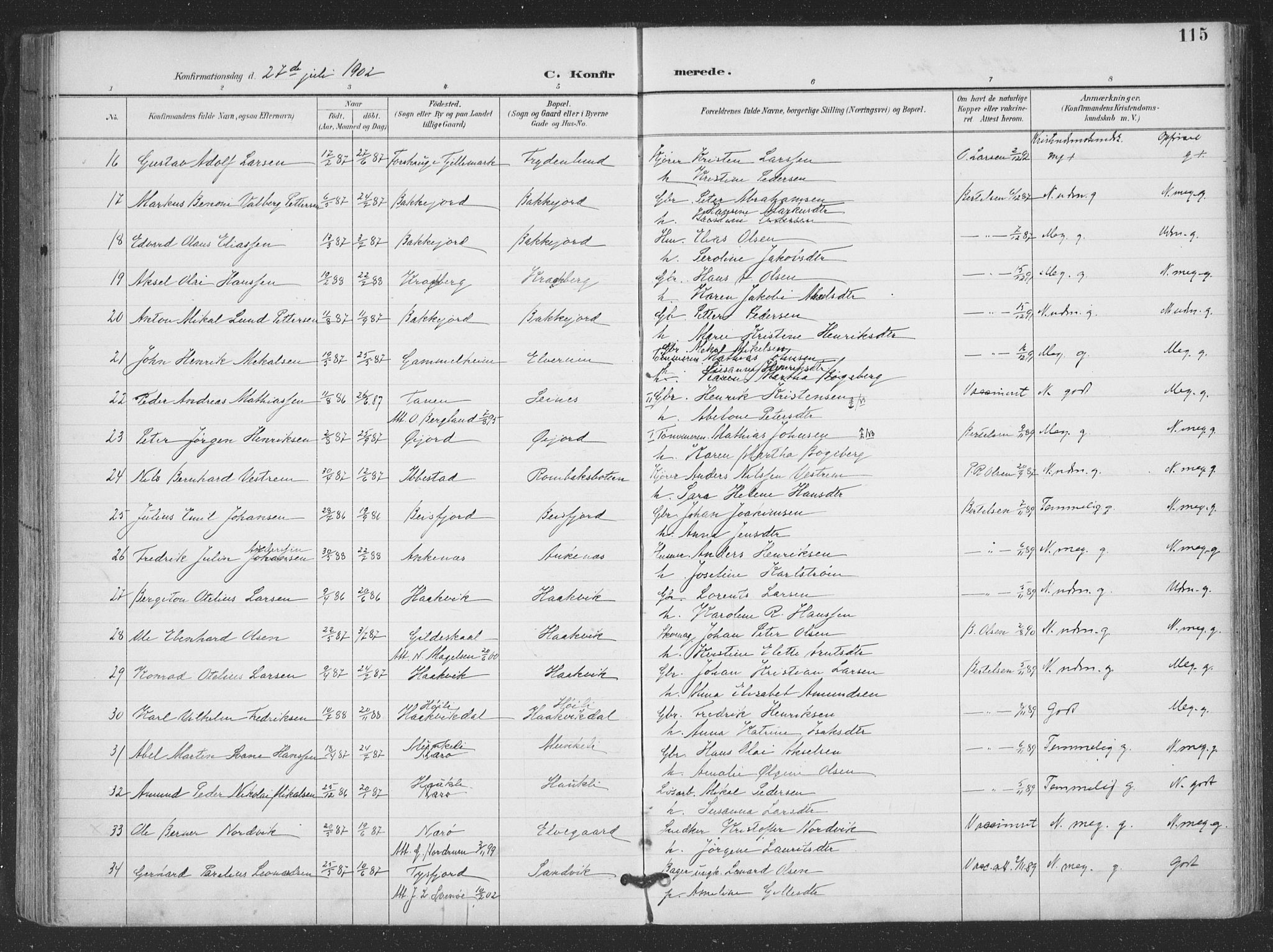 Ministerialprotokoller, klokkerbøker og fødselsregistre - Nordland, AV/SAT-A-1459/866/L0939: Parish register (official) no. 866A02, 1894-1906, p. 115