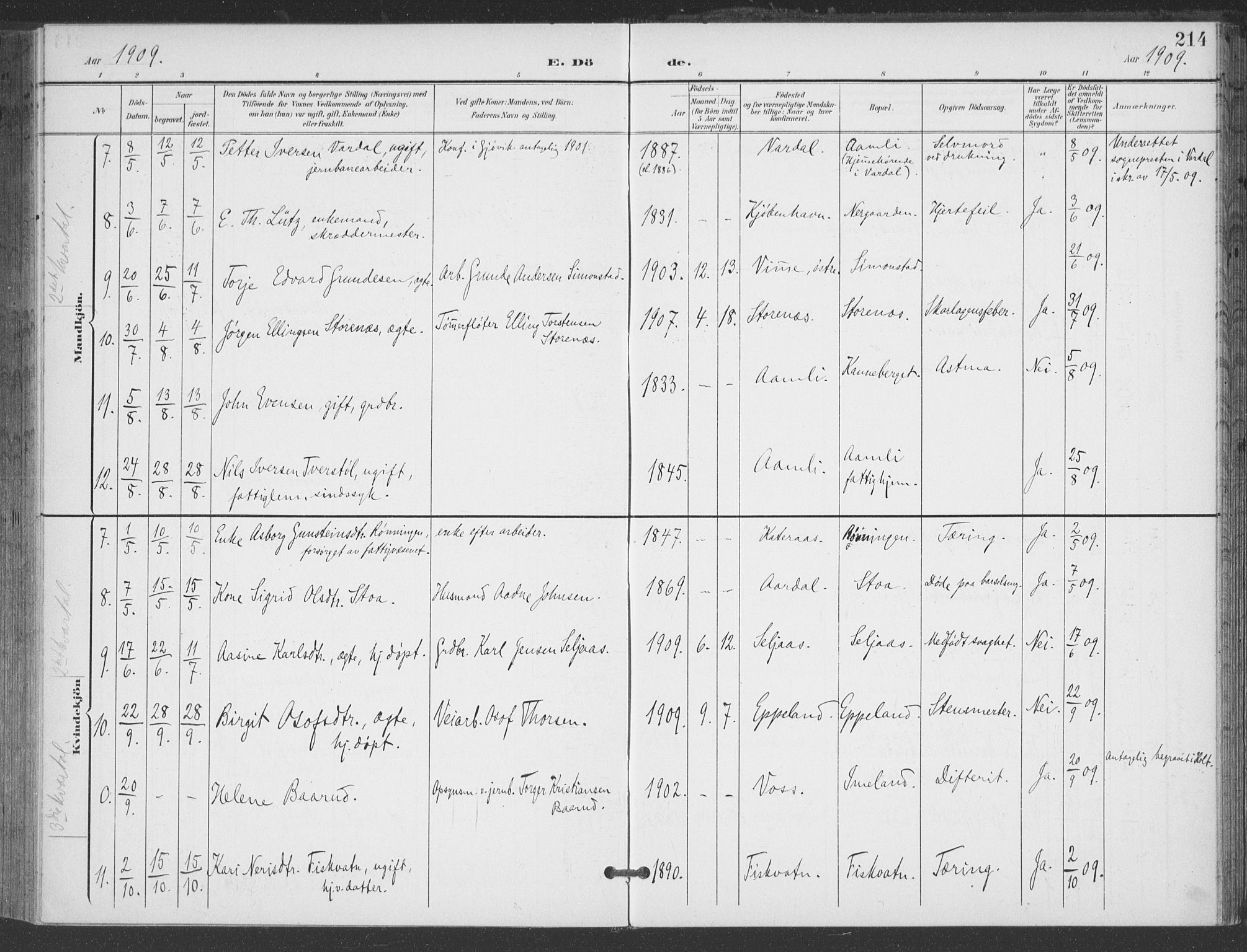 Åmli sokneprestkontor, AV/SAK-1111-0050/F/Fa/Fac/L0012: Parish register (official) no. A 12, 1900-1914, p. 214