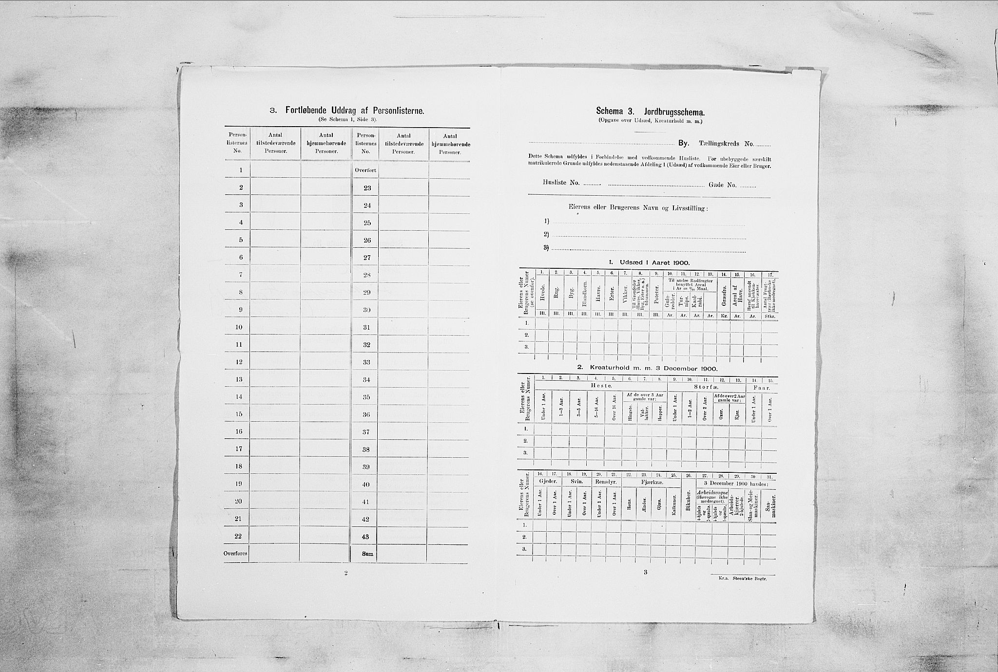 RA, 1900 census for Larvik, 1900, p. 6508