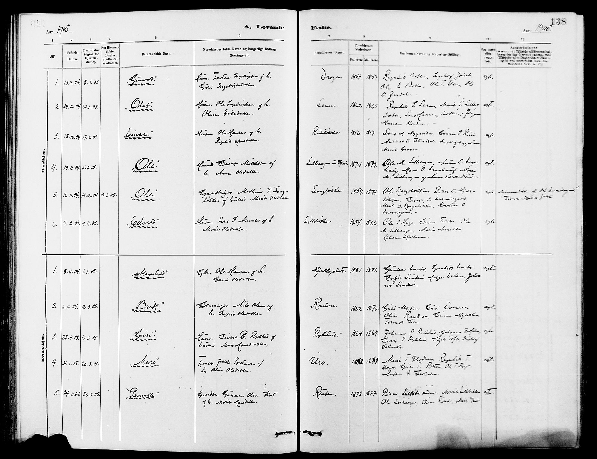 Dovre prestekontor, SAH/PREST-066/H/Ha/Hab/L0002: Parish register (copy) no. 2, 1881-1907, p. 138