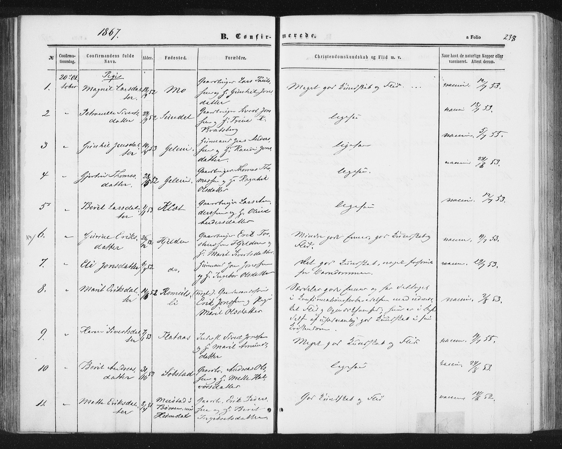 Ministerialprotokoller, klokkerbøker og fødselsregistre - Sør-Trøndelag, AV/SAT-A-1456/691/L1077: Parish register (official) no. 691A09, 1862-1873, p. 238