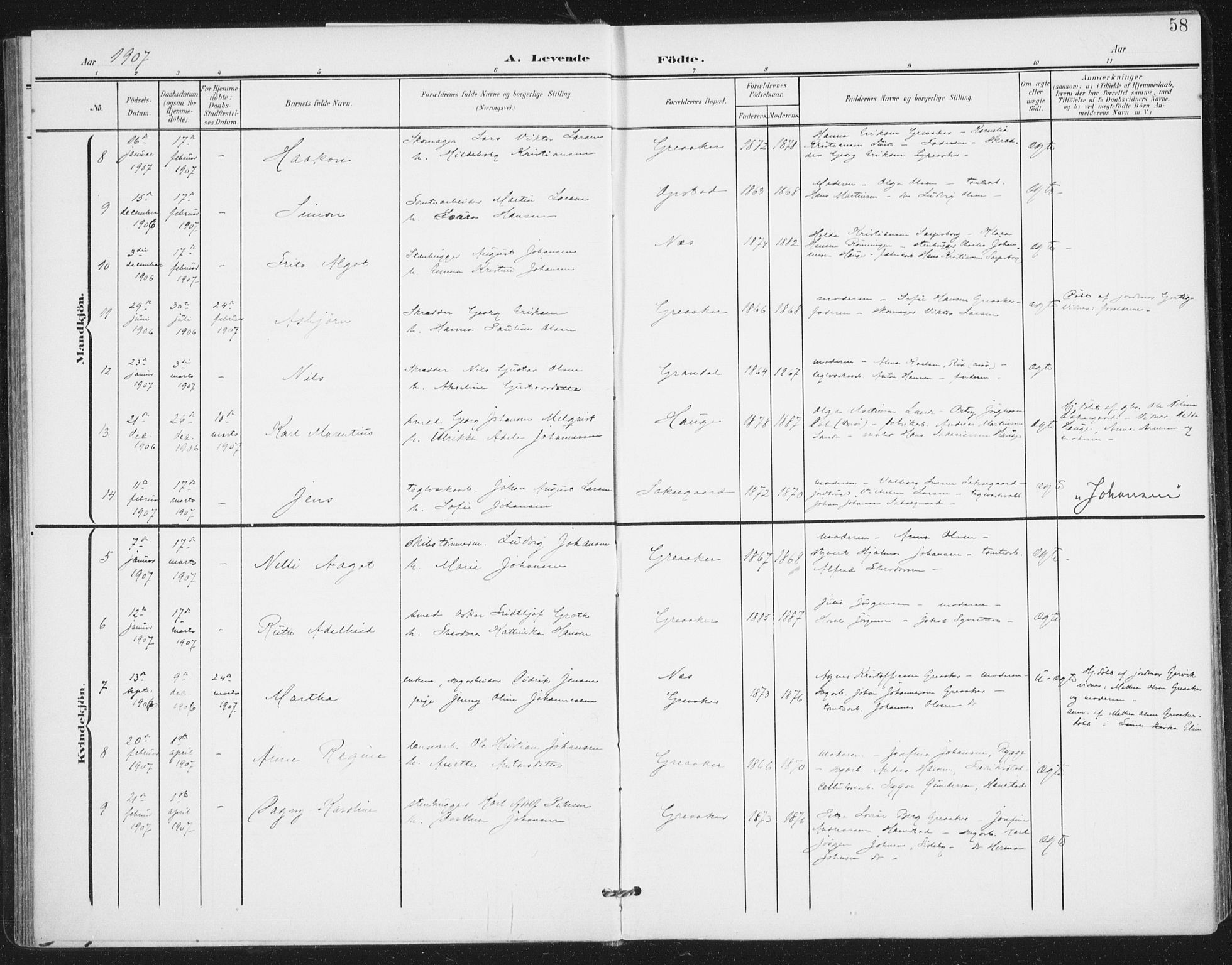 Rolvsøy prestekontor Kirkebøker, AV/SAO-A-2004/F/Fa/L0001: Parish register (official) no. 1, 1901-1909, p. 58