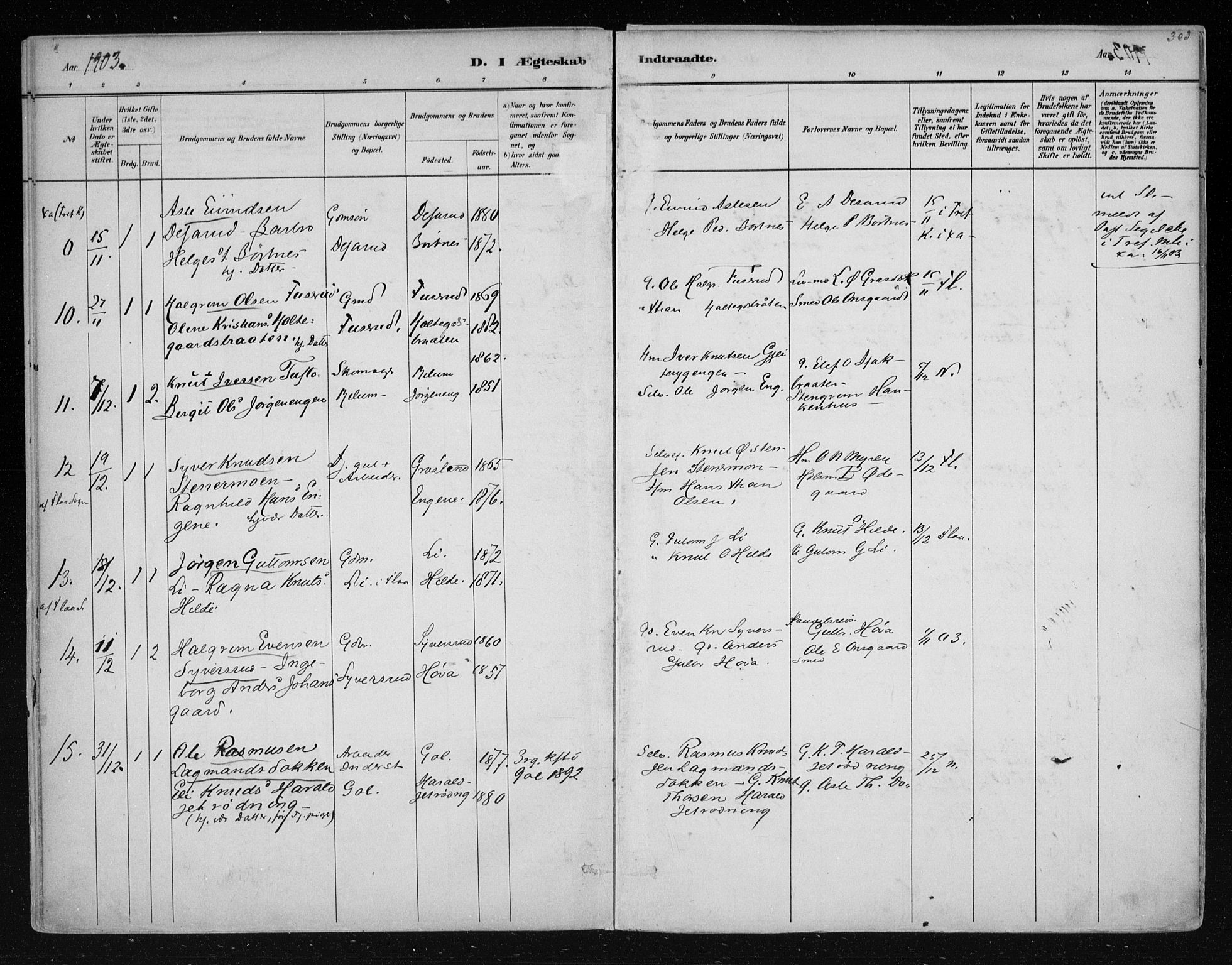 Nes kirkebøker, AV/SAKO-A-236/F/Fa/L0011: Parish register (official) no. 11, 1881-1912, p. 303