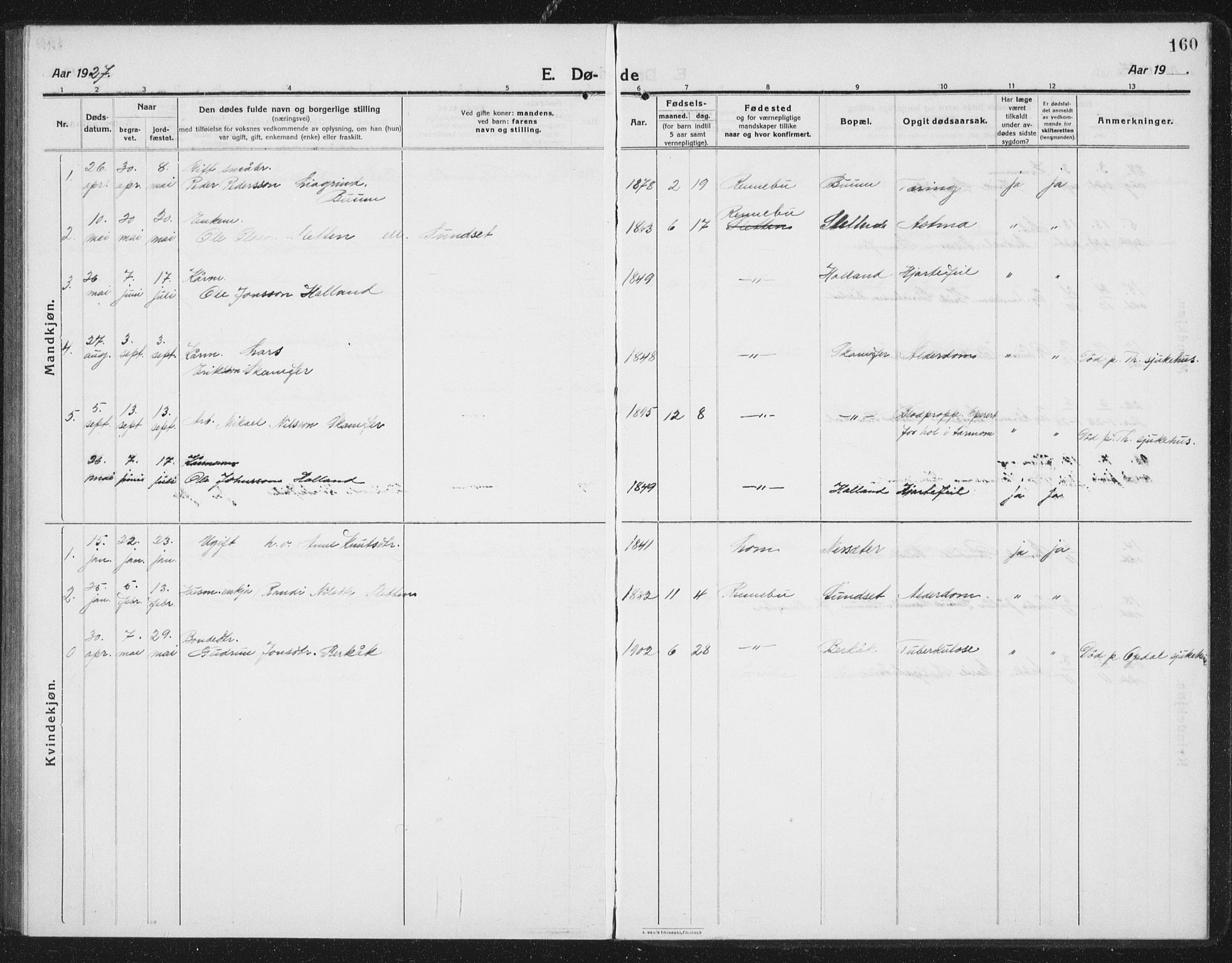 Ministerialprotokoller, klokkerbøker og fødselsregistre - Sør-Trøndelag, AV/SAT-A-1456/675/L0888: Parish register (copy) no. 675C01, 1913-1935, p. 160