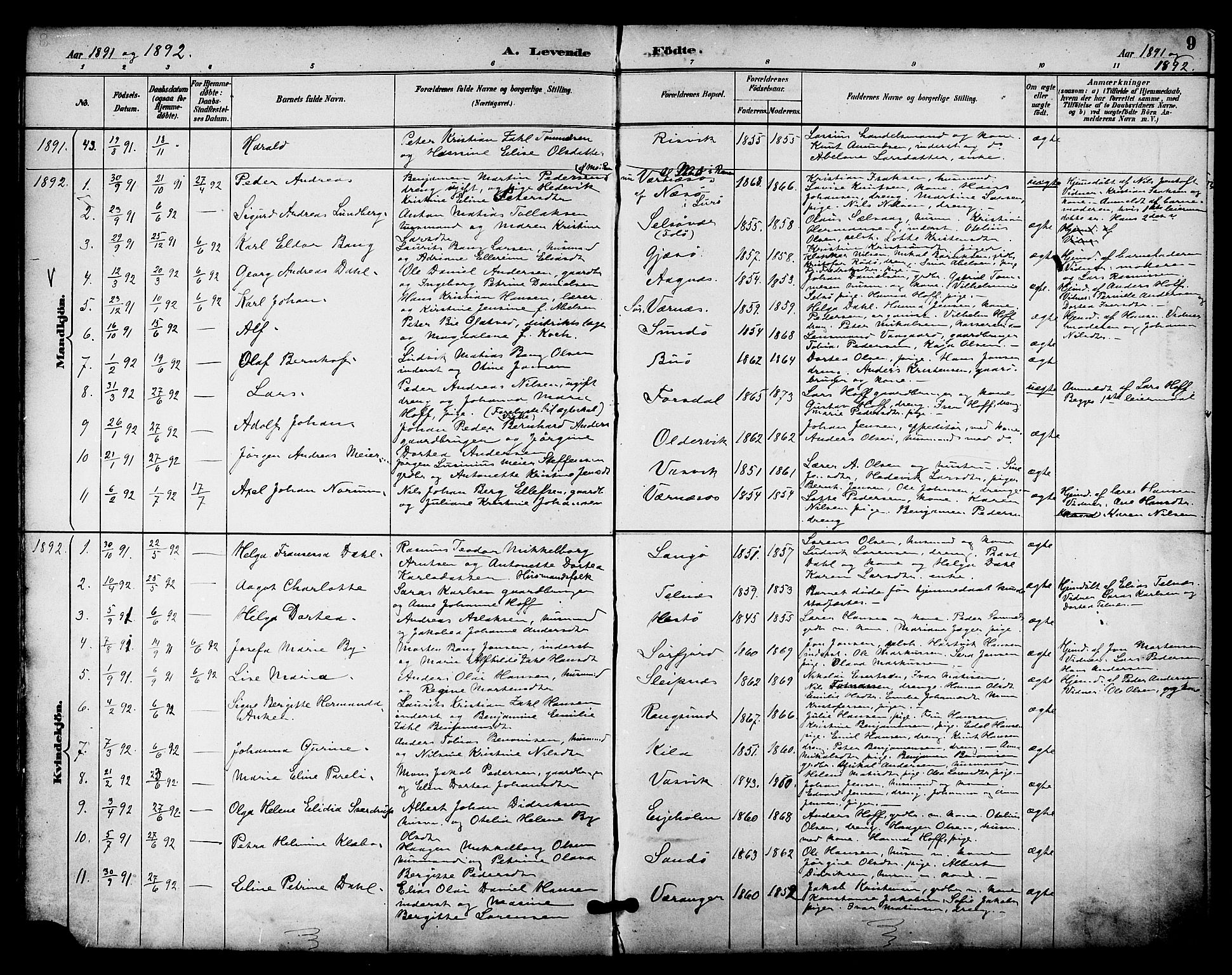 Ministerialprotokoller, klokkerbøker og fødselsregistre - Nordland, SAT/A-1459/841/L0610: Parish register (official) no. 841A14, 1890-1901, p. 9