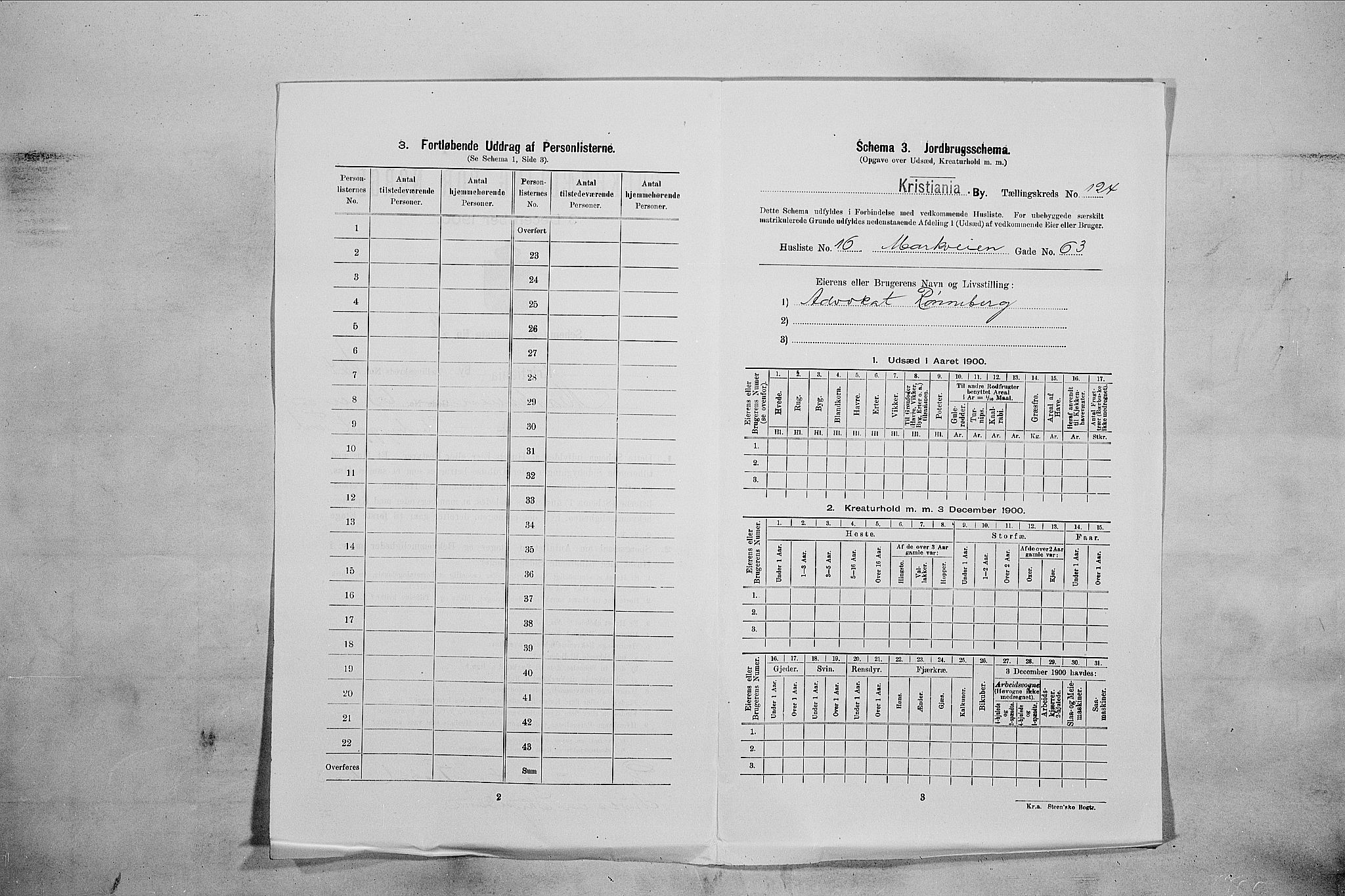 SAO, 1900 census for Kristiania, 1900, p. 58676