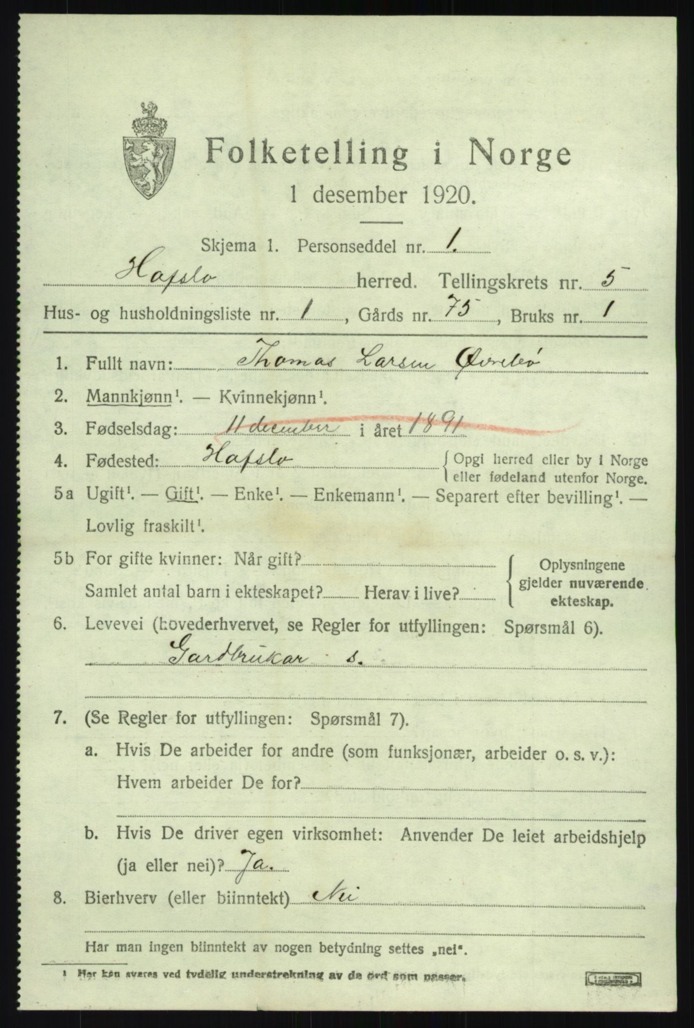 SAB, 1920 census for Hafslo, 1920, p. 3870