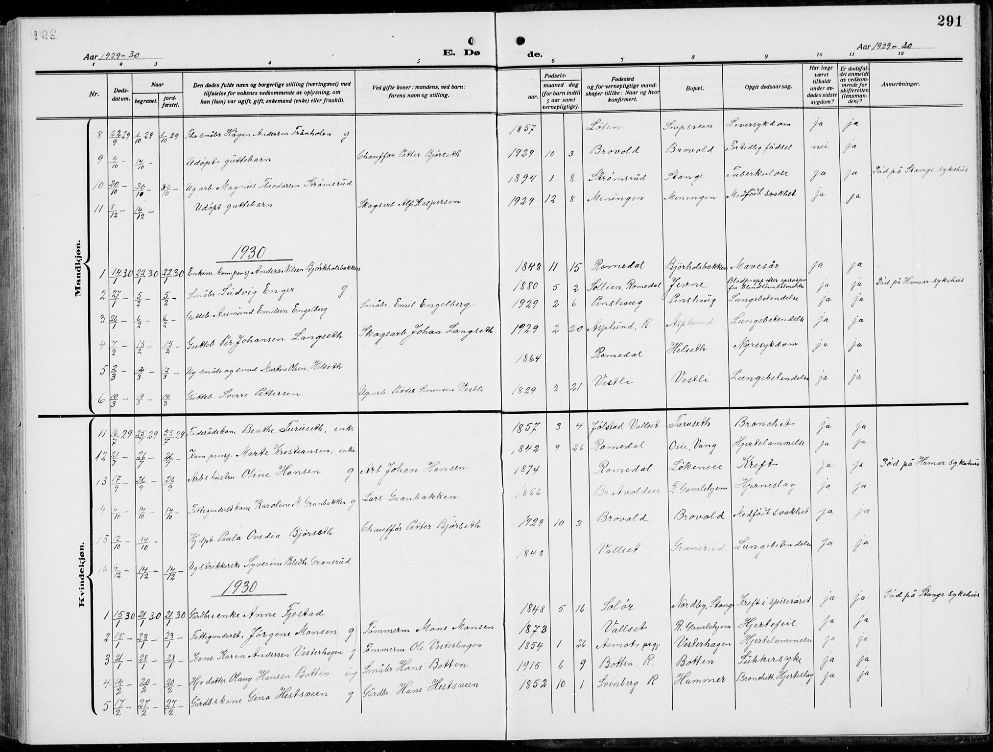 Romedal prestekontor, SAH/PREST-004/L/L0014: Parish register (copy) no. 14, 1915-1939, p. 291
