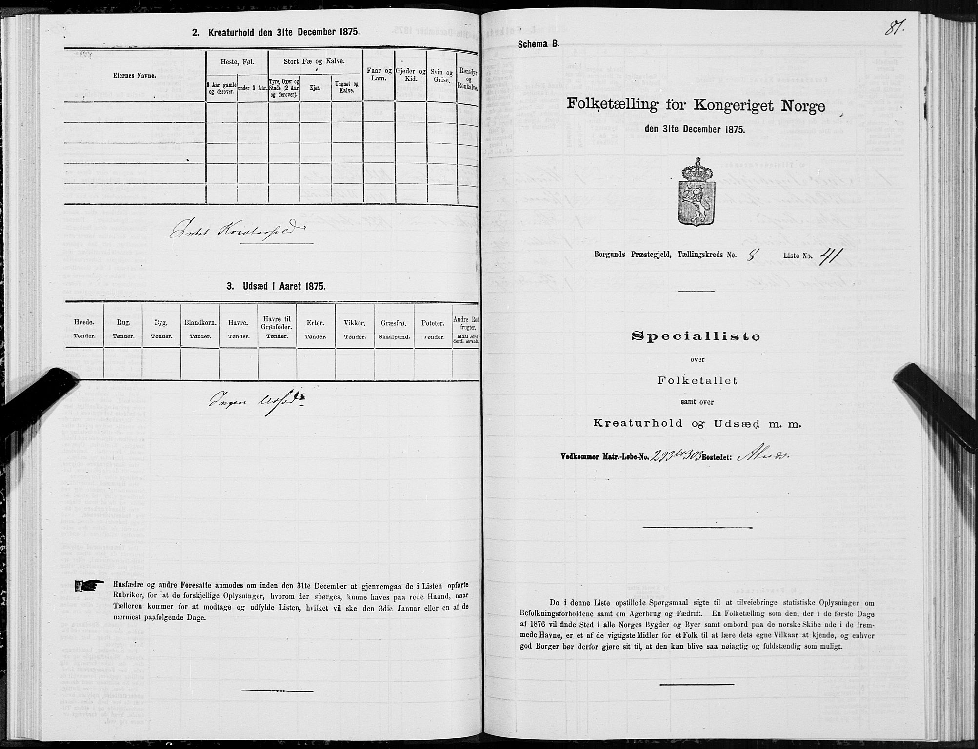 SAT, 1875 census for 1531P Borgund, 1875, p. 5081