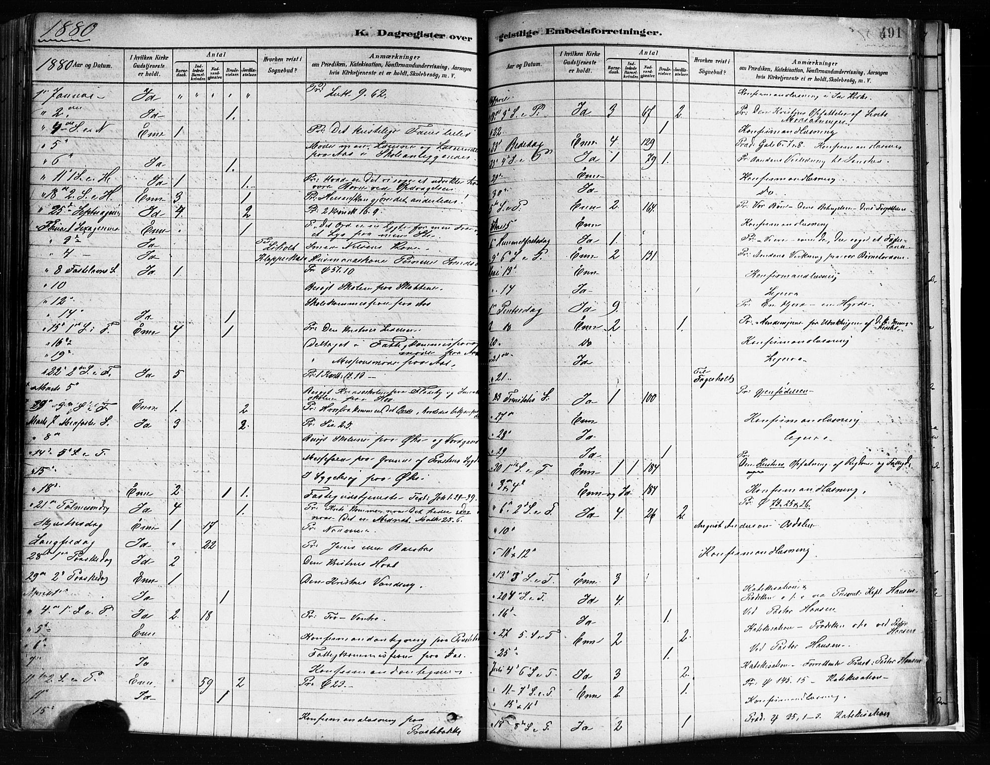 Idd prestekontor Kirkebøker, SAO/A-10911/F/Fc/L0006b: Parish register (official) no. III 6B, 1878-1903, p. 491
