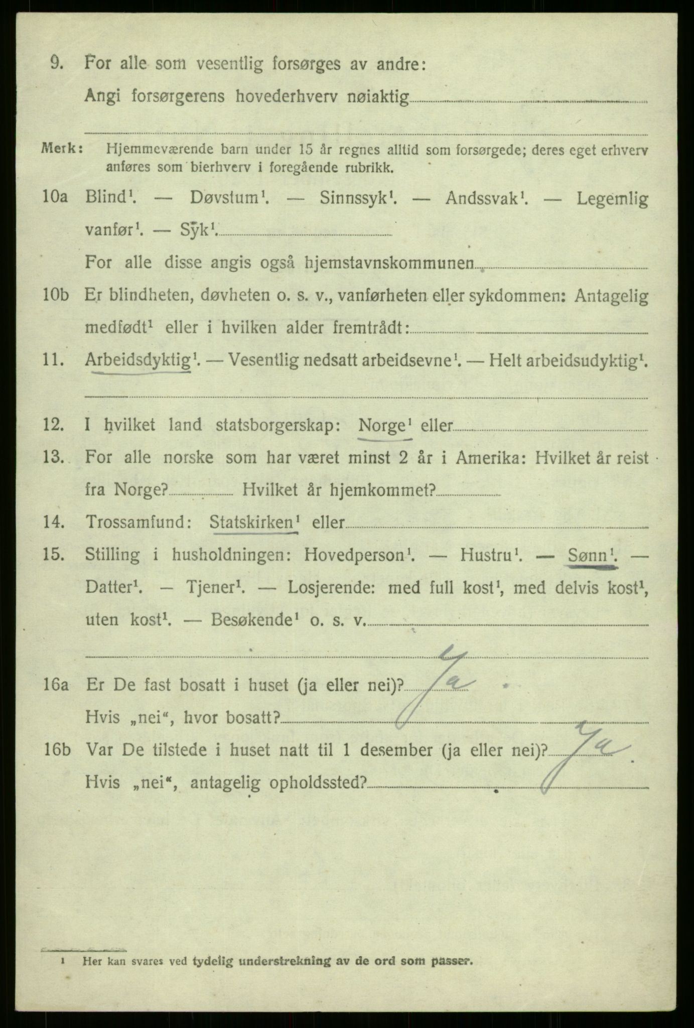 SAB, 1920 census for Årdal, 1920, p. 3828