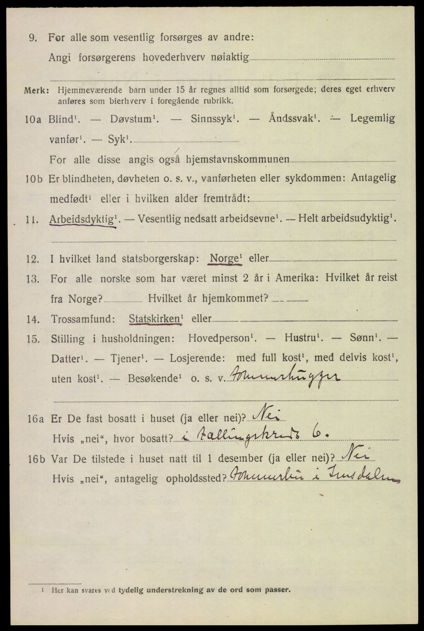 SAH, 1920 census for Stor-Elvdal, 1920, p. 4903