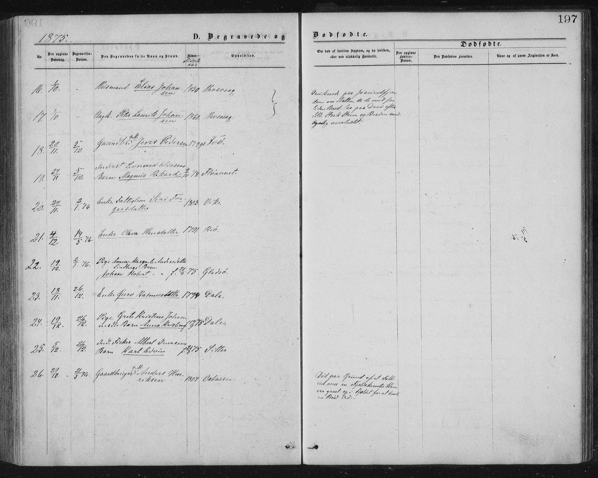 Ministerialprotokoller, klokkerbøker og fødselsregistre - Nord-Trøndelag, SAT/A-1458/771/L0596: Parish register (official) no. 771A03, 1870-1884, p. 197
