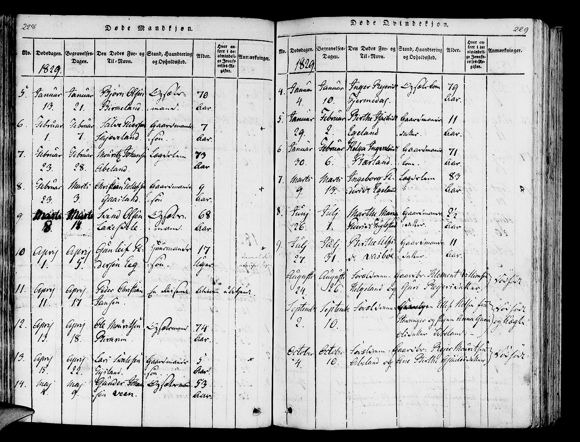 Helleland sokneprestkontor, AV/SAST-A-101810: Parish register (official) no. A 5, 1815-1834, p. 228-229