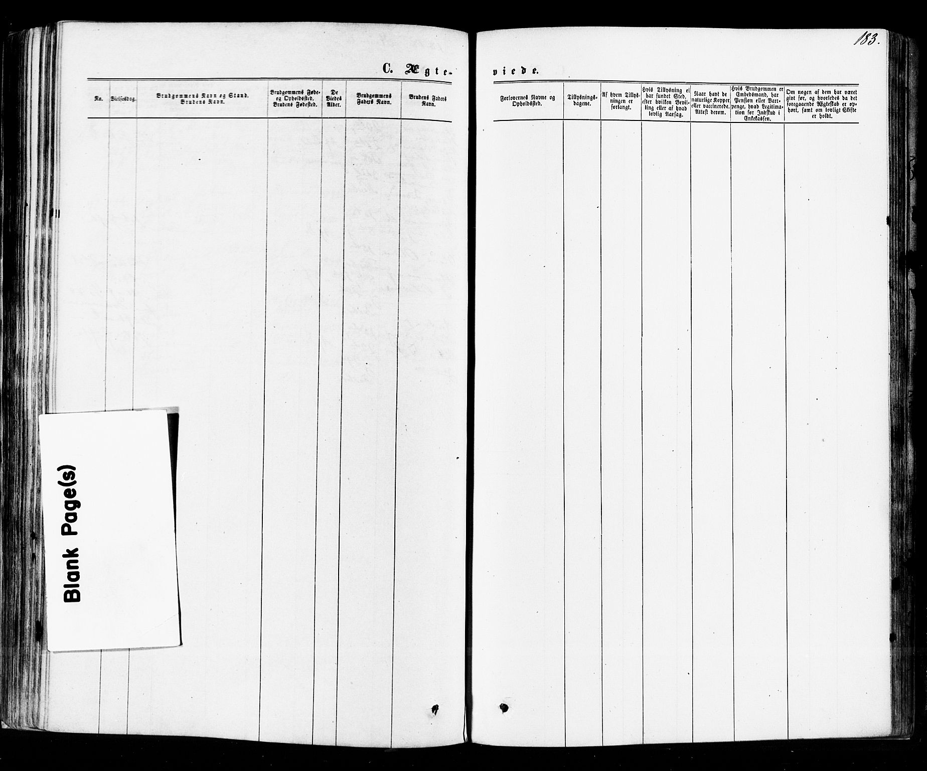 Strømsø kirkebøker, SAKO/A-246/F/Fa/L0018: Parish register (official) no. I 18, 1865-1878, p. 183