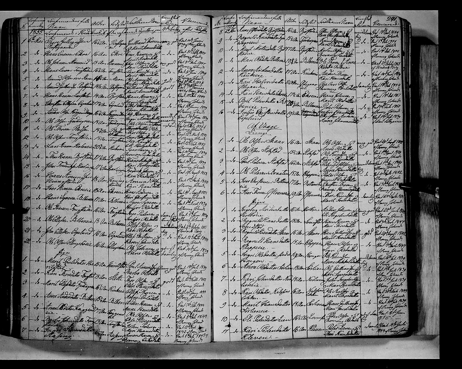 Vågå prestekontor, SAH/PREST-076/H/Ha/Haa/L0005: Parish register (official) no. 5 /1, 1842-1856, p. 291