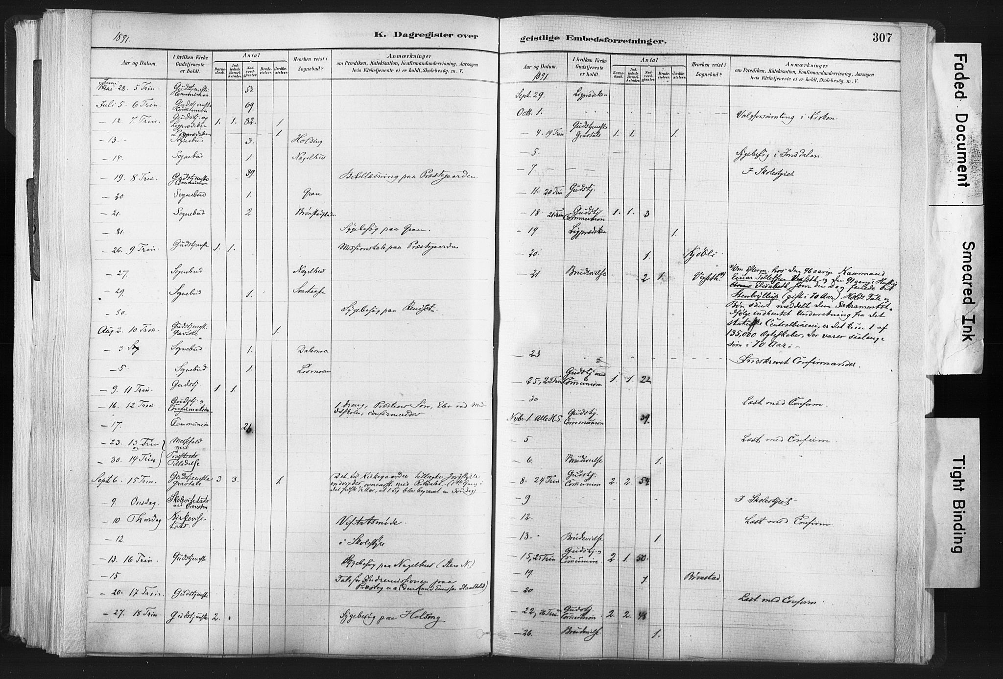 Ministerialprotokoller, klokkerbøker og fødselsregistre - Nord-Trøndelag, SAT/A-1458/749/L0474: Parish register (official) no. 749A08, 1887-1903, p. 307