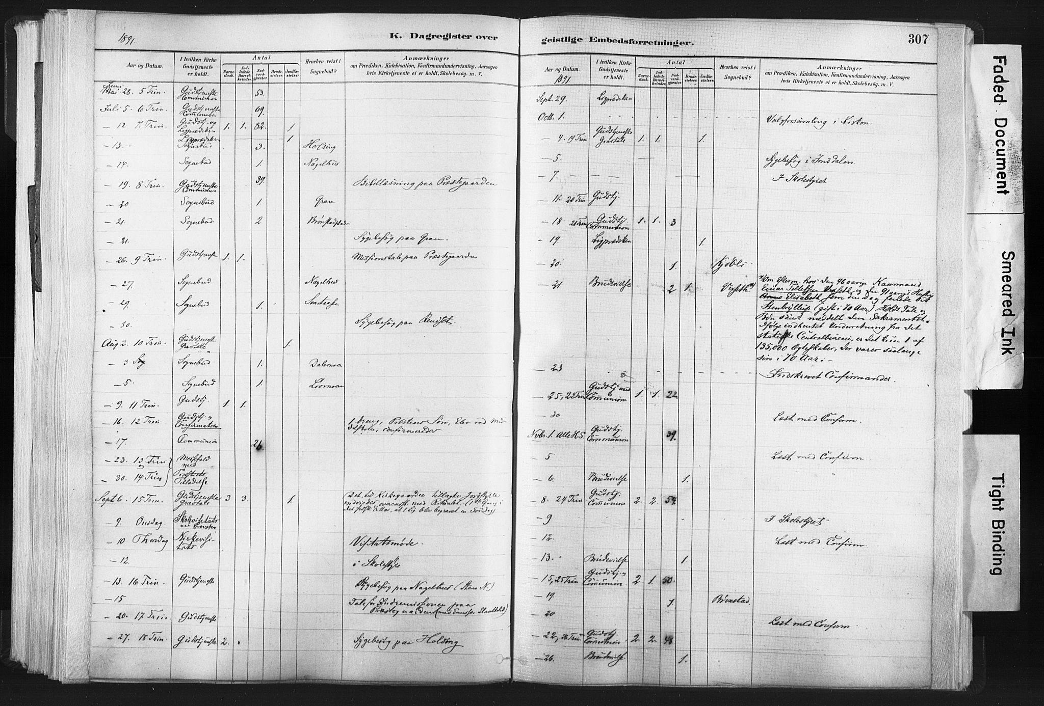 Ministerialprotokoller, klokkerbøker og fødselsregistre - Nord-Trøndelag, AV/SAT-A-1458/749/L0474: Parish register (official) no. 749A08, 1887-1903, p. 307