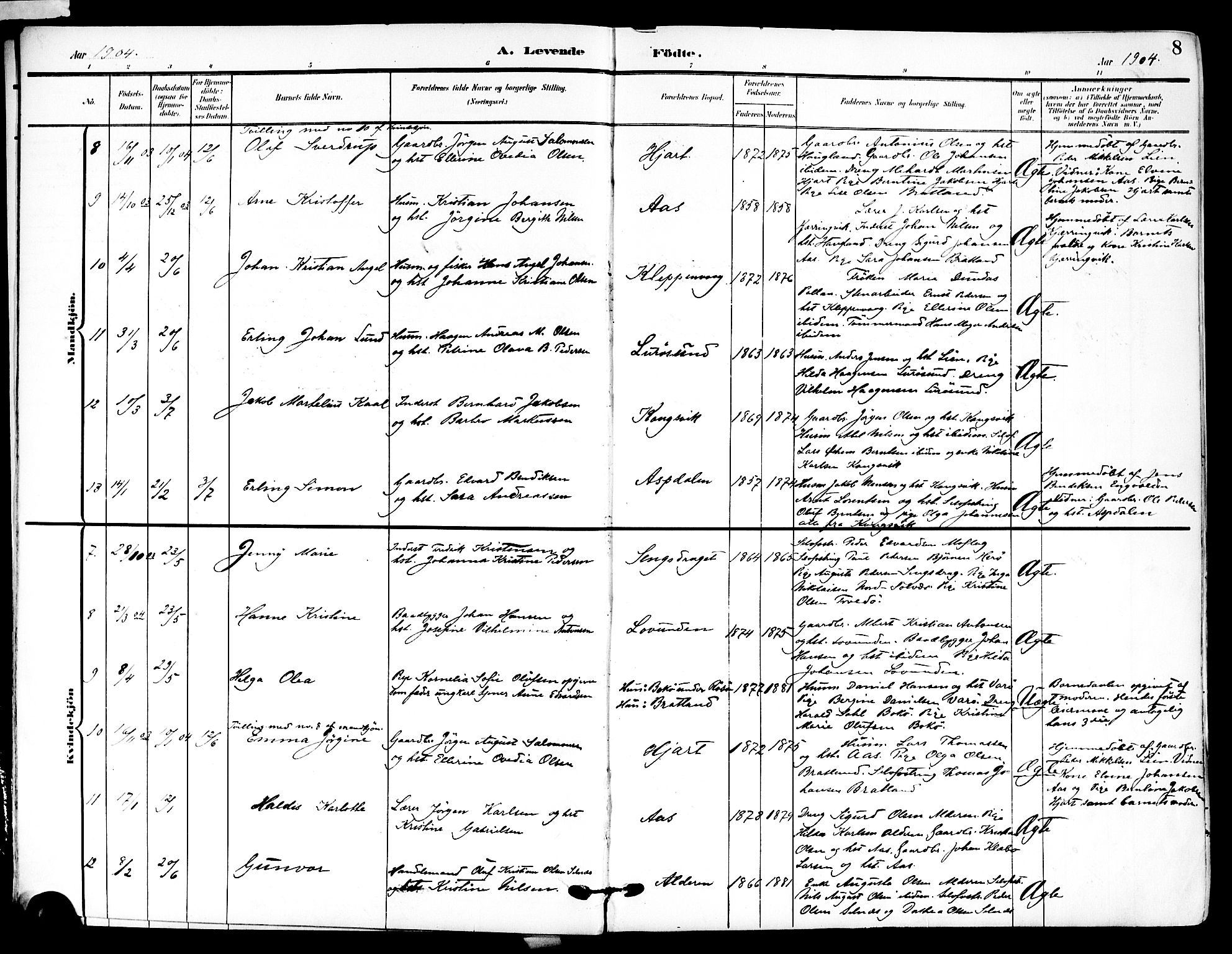 Ministerialprotokoller, klokkerbøker og fødselsregistre - Nordland, AV/SAT-A-1459/839/L0569: Parish register (official) no. 839A06, 1903-1922, p. 8