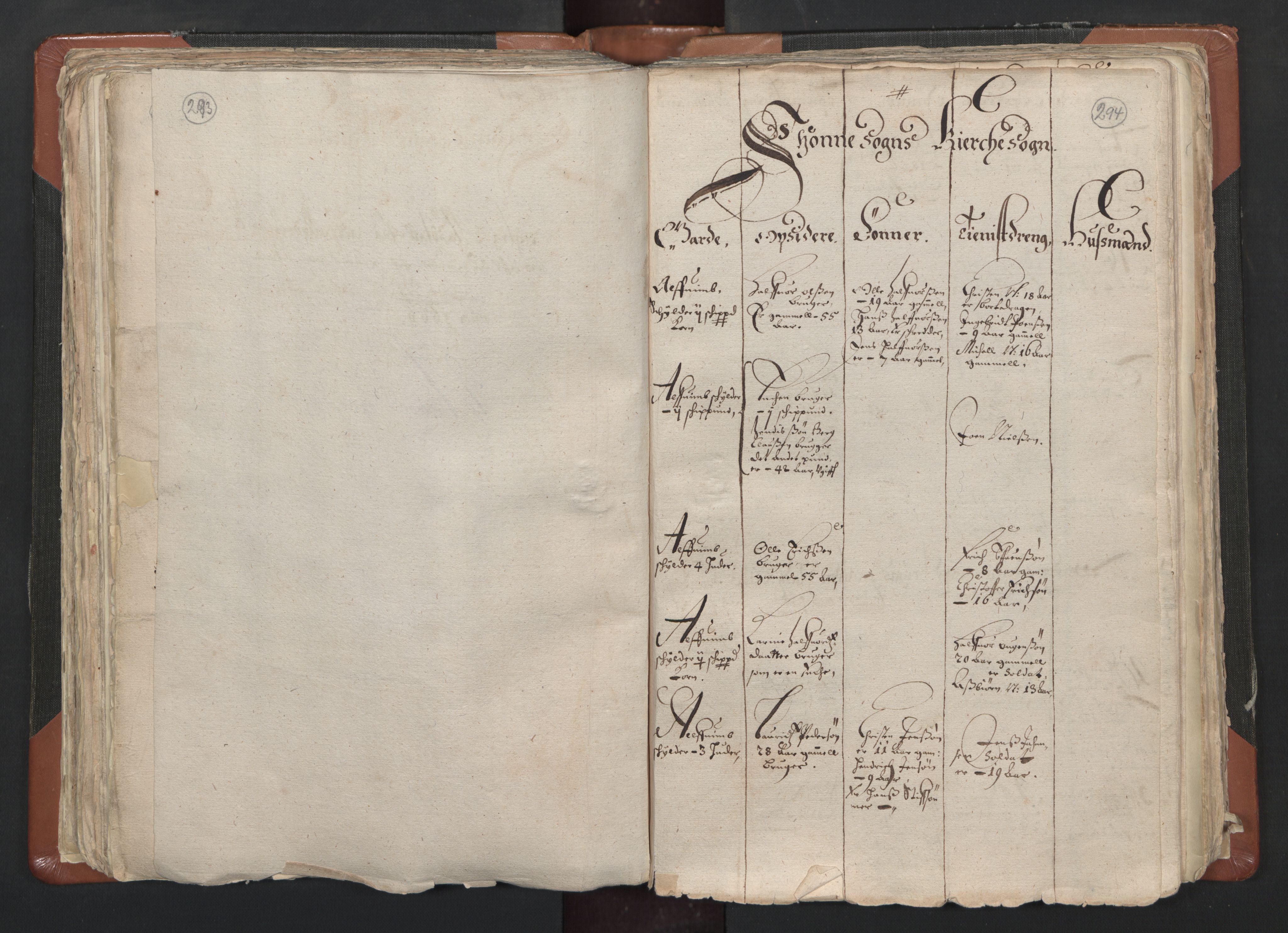 RA, Vicar's Census 1664-1666, no. 1: Nedre Borgesyssel deanery, 1664-1666, p. 293-294