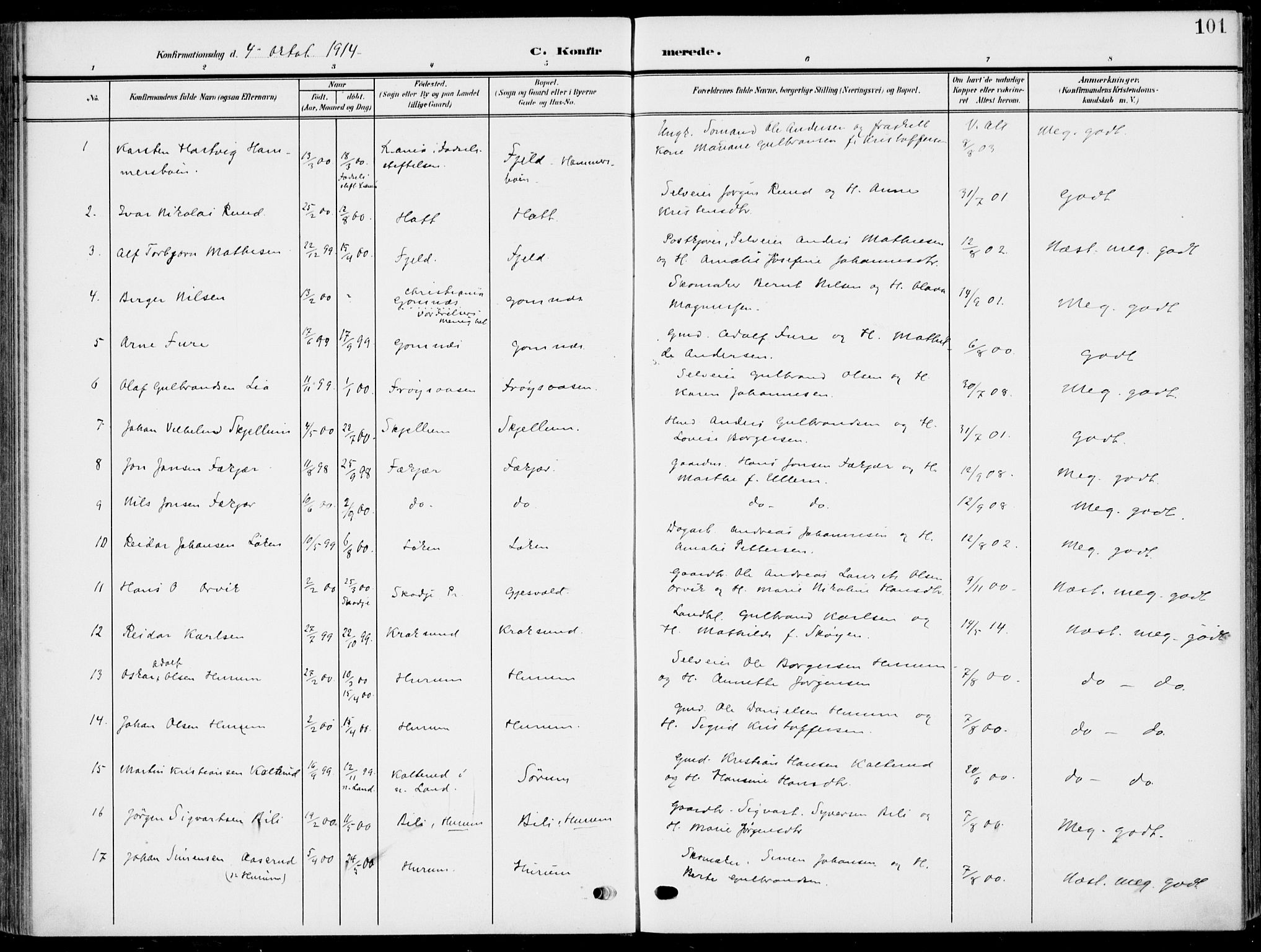 Hole kirkebøker, AV/SAKO-A-228/F/Fa/L0010: Parish register (official) no. I 10, 1907-1917, p. 101