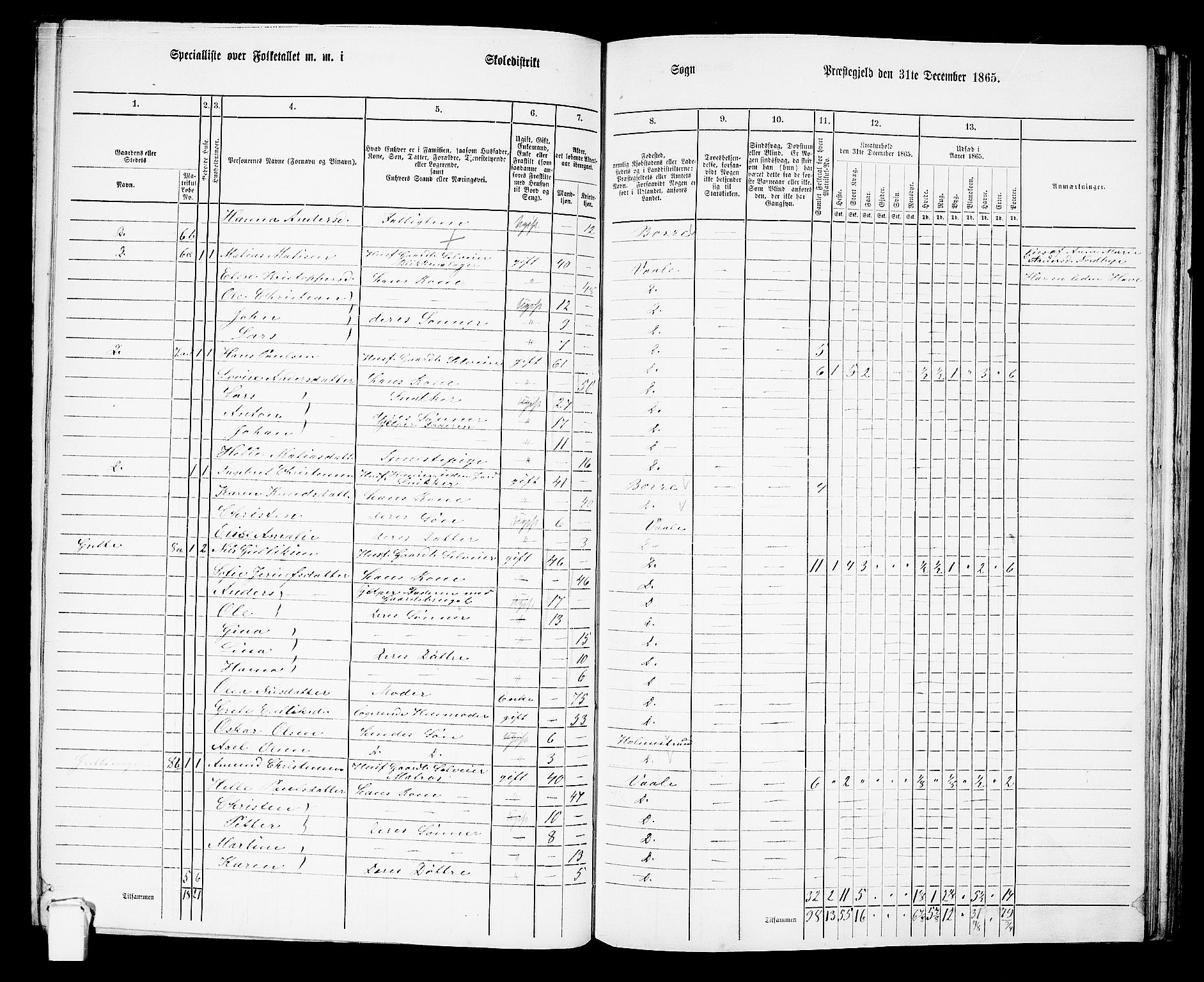 RA, 1865 census for Våle, 1865, p. 15