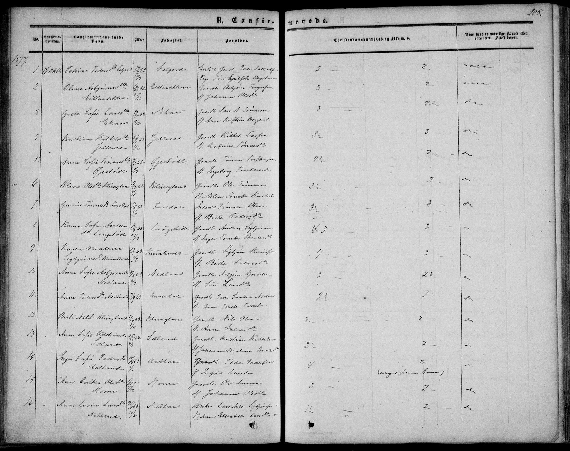 Bakke sokneprestkontor, AV/SAK-1111-0002/F/Fa/Fab/L0002: Parish register (official) no. A 2, 1855-1884, p. 205