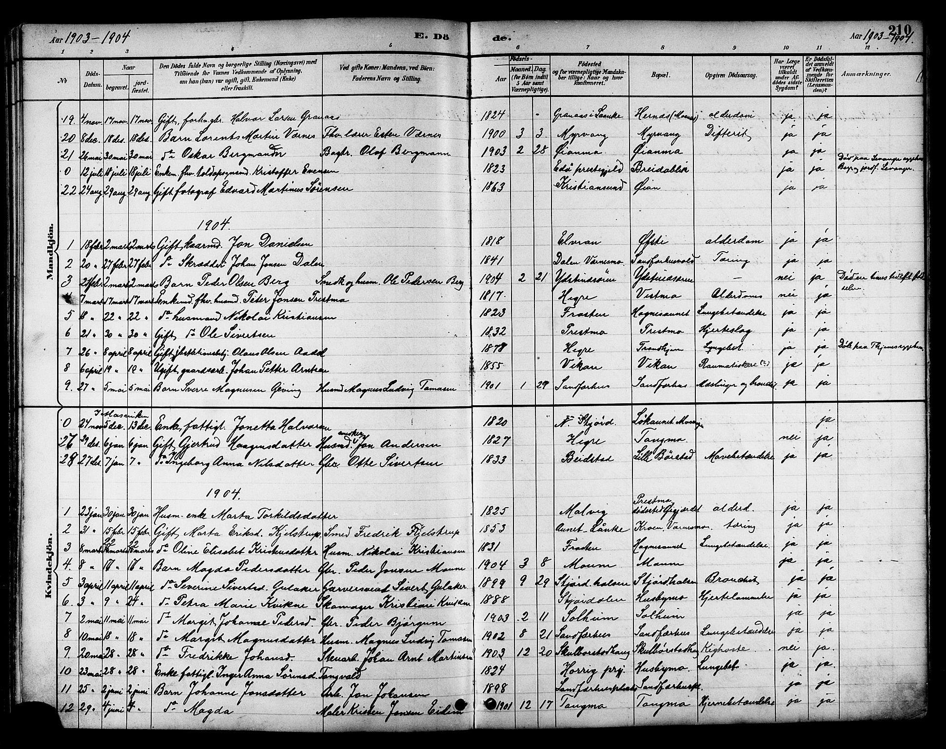 Ministerialprotokoller, klokkerbøker og fødselsregistre - Nord-Trøndelag, SAT/A-1458/709/L0087: Parish register (copy) no. 709C01, 1892-1913, p. 210