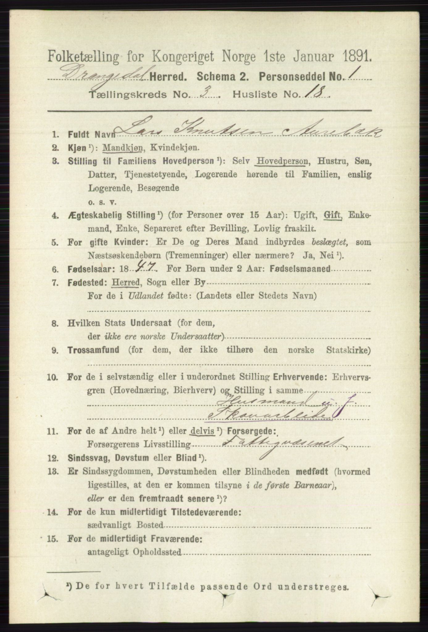 RA, 1891 census for 0817 Drangedal, 1891, p. 960