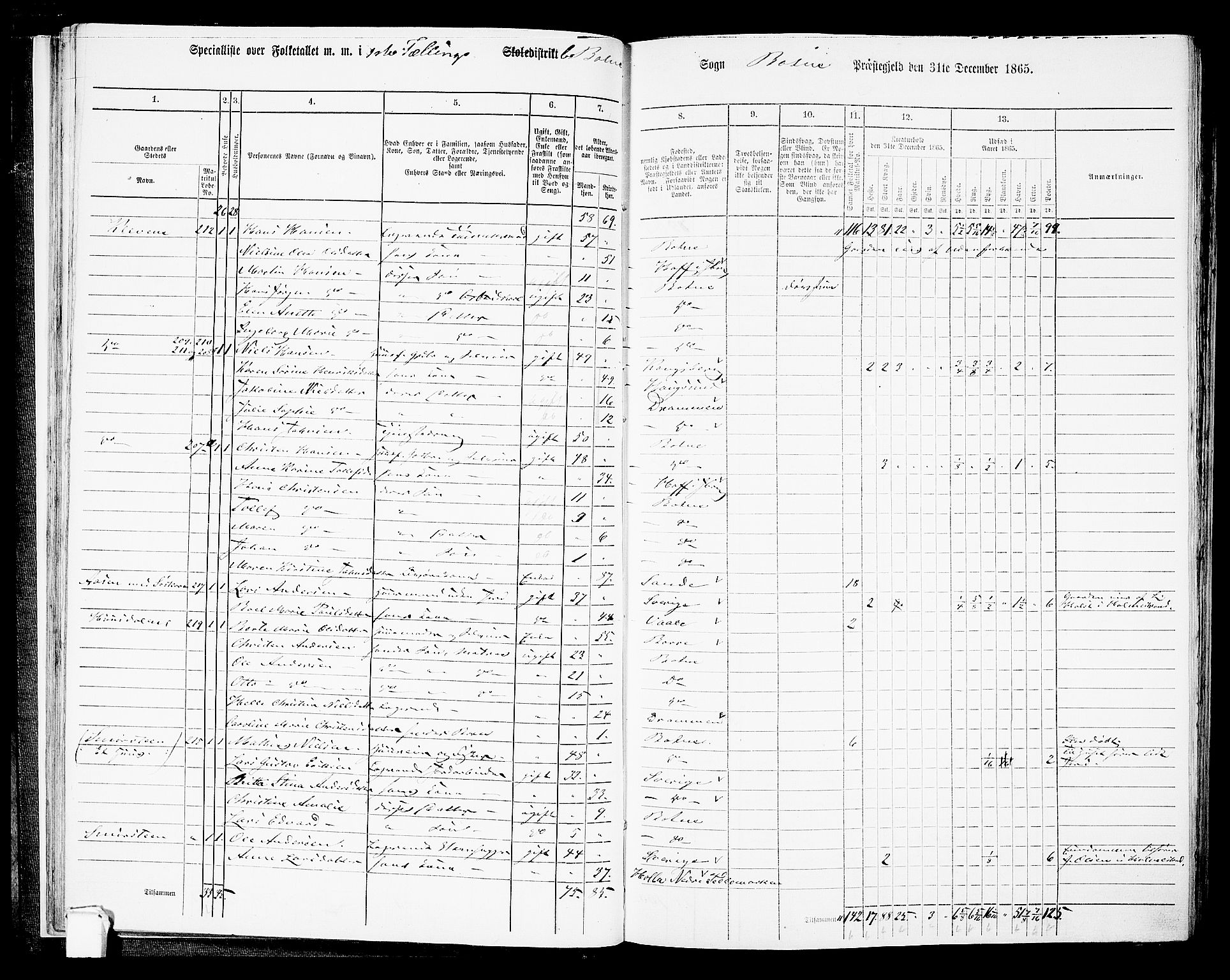 RA, 1865 census for Botne/Botne og Hillestad, 1865, p. 29