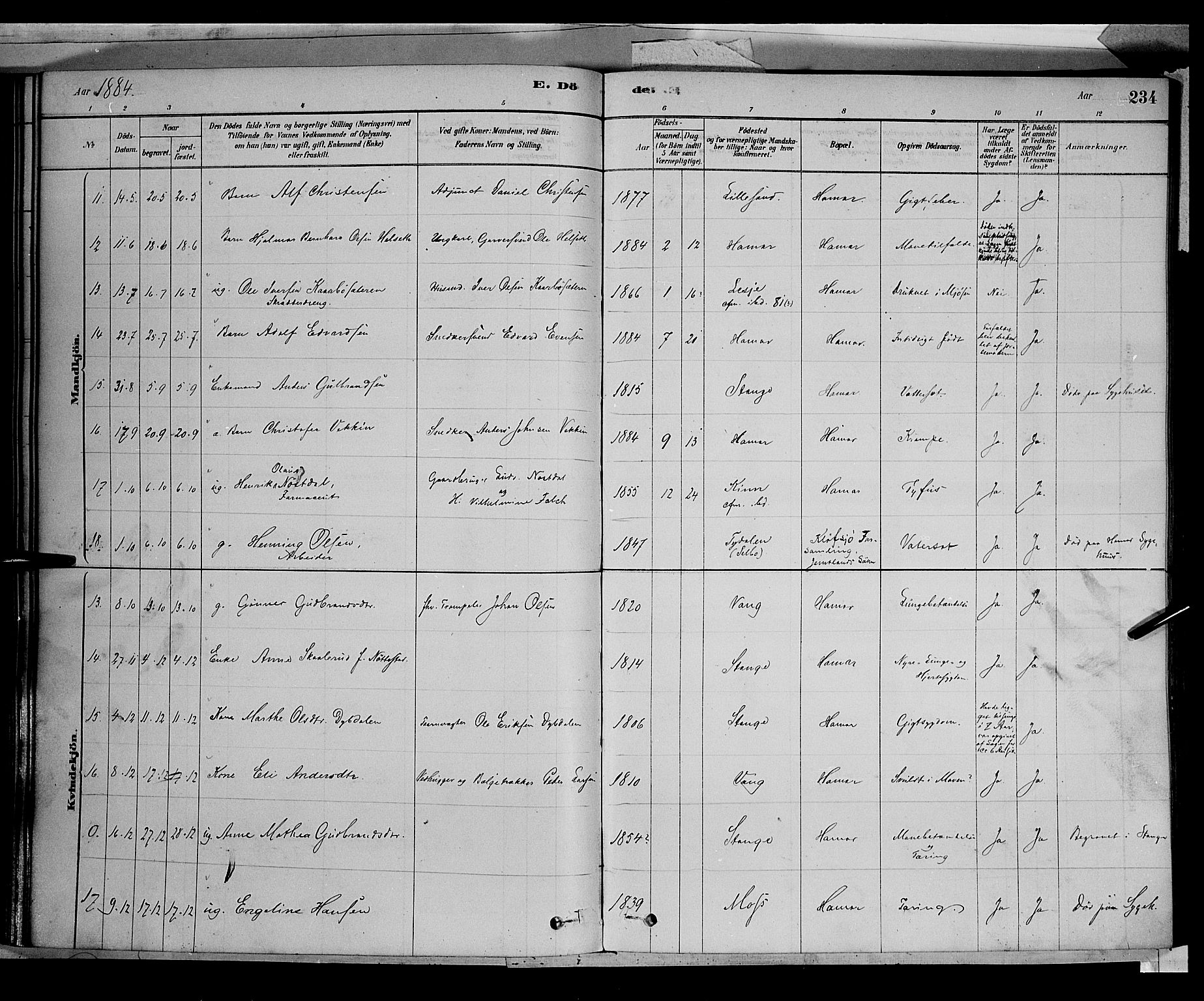 Vang prestekontor, Hedmark, AV/SAH-PREST-008/H/Ha/Haa/L0016: Parish register (official) no. 16, 1878-1889, p. 234