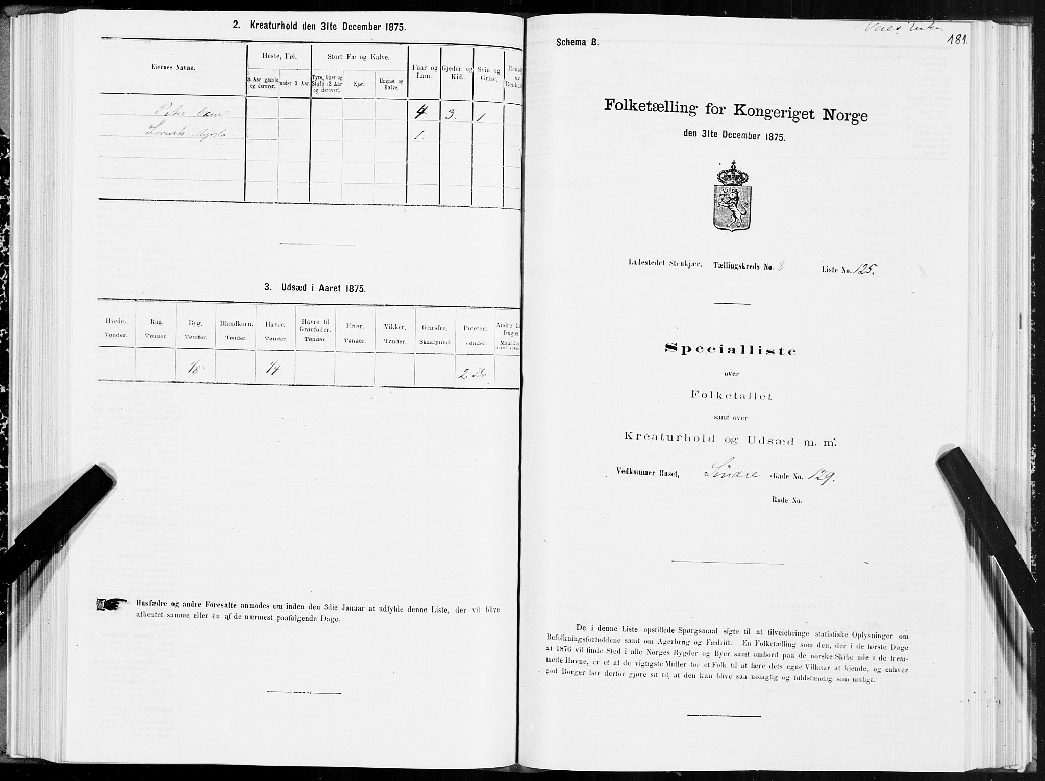 SAT, 1875 census for 1702B Steinkjer/Steinkjer, 1875, p. 181