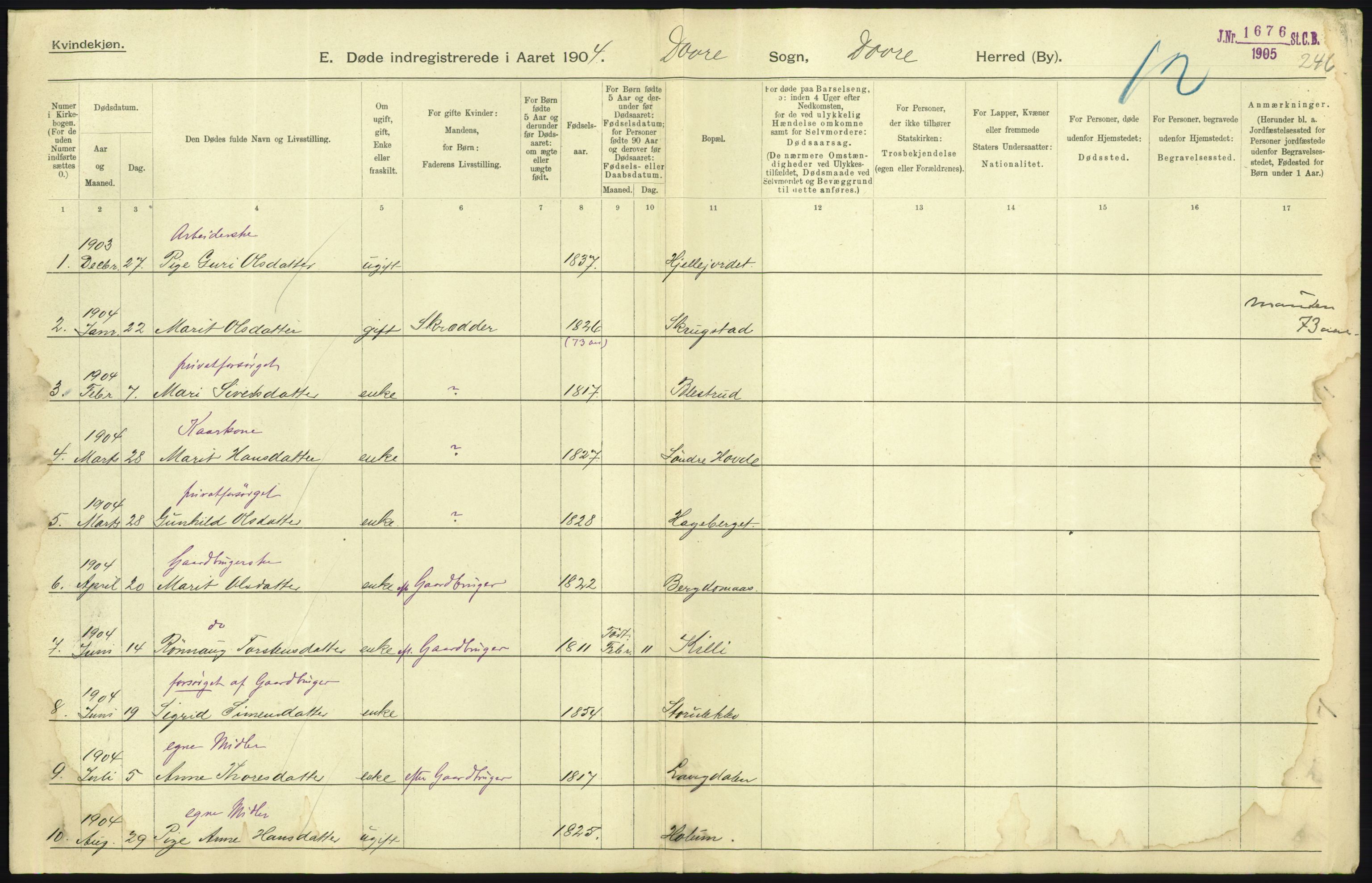 Statistisk sentralbyrå, Sosiodemografiske emner, Befolkning, AV/RA-S-2228/D/Df/Dfa/Dfab/L0006: Kristians amt: Fødte, gifte, døde, 1904, p. 443