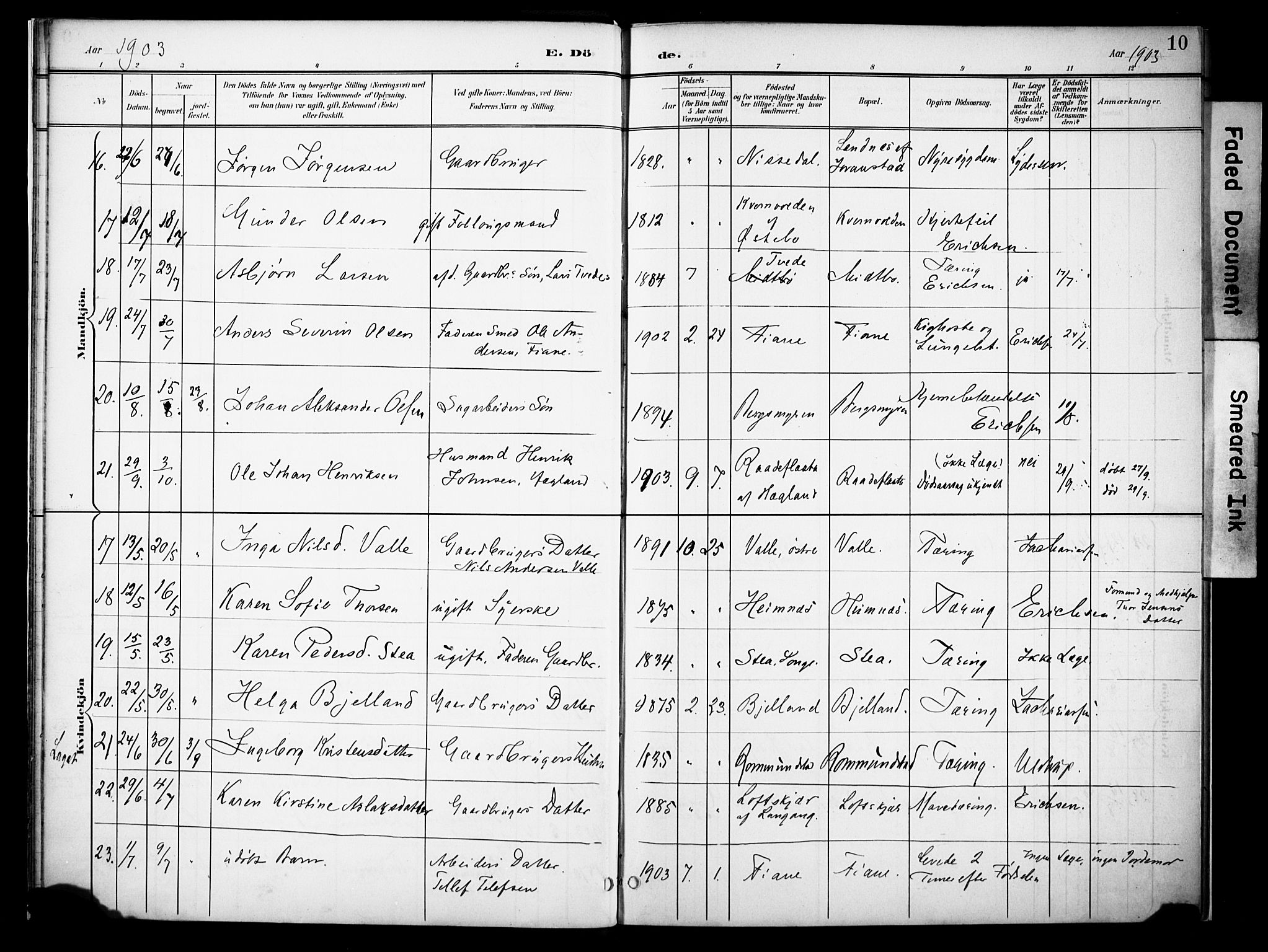 Holt sokneprestkontor, AV/SAK-1111-0021/F/Fa/L0013: Parish register (official) no. A 13, 1900-1912, p. 10