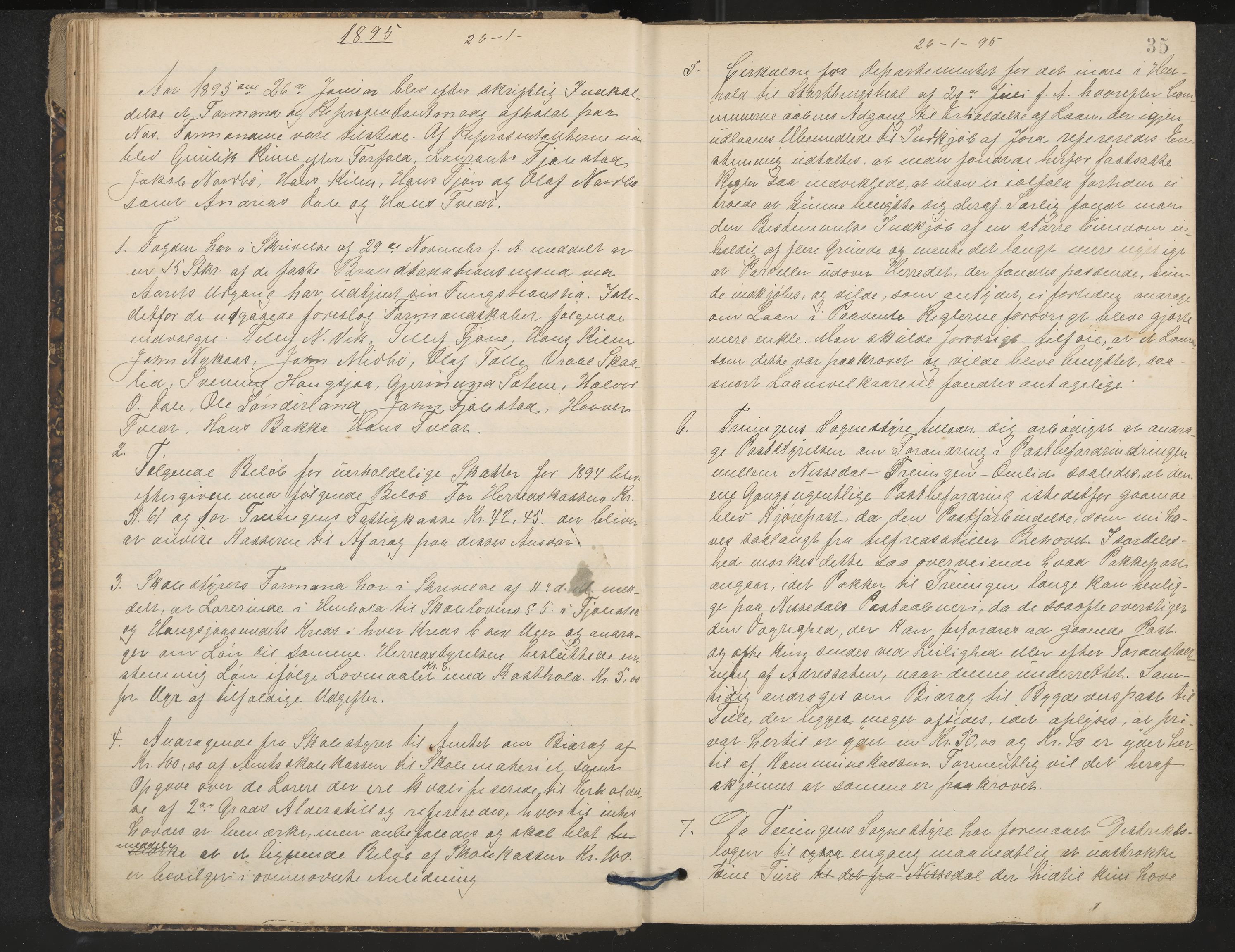 Nissedal formannskap og sentraladministrasjon, IKAK/0830021-1/A/L0003: Møtebok, 1892-1904, p. 35