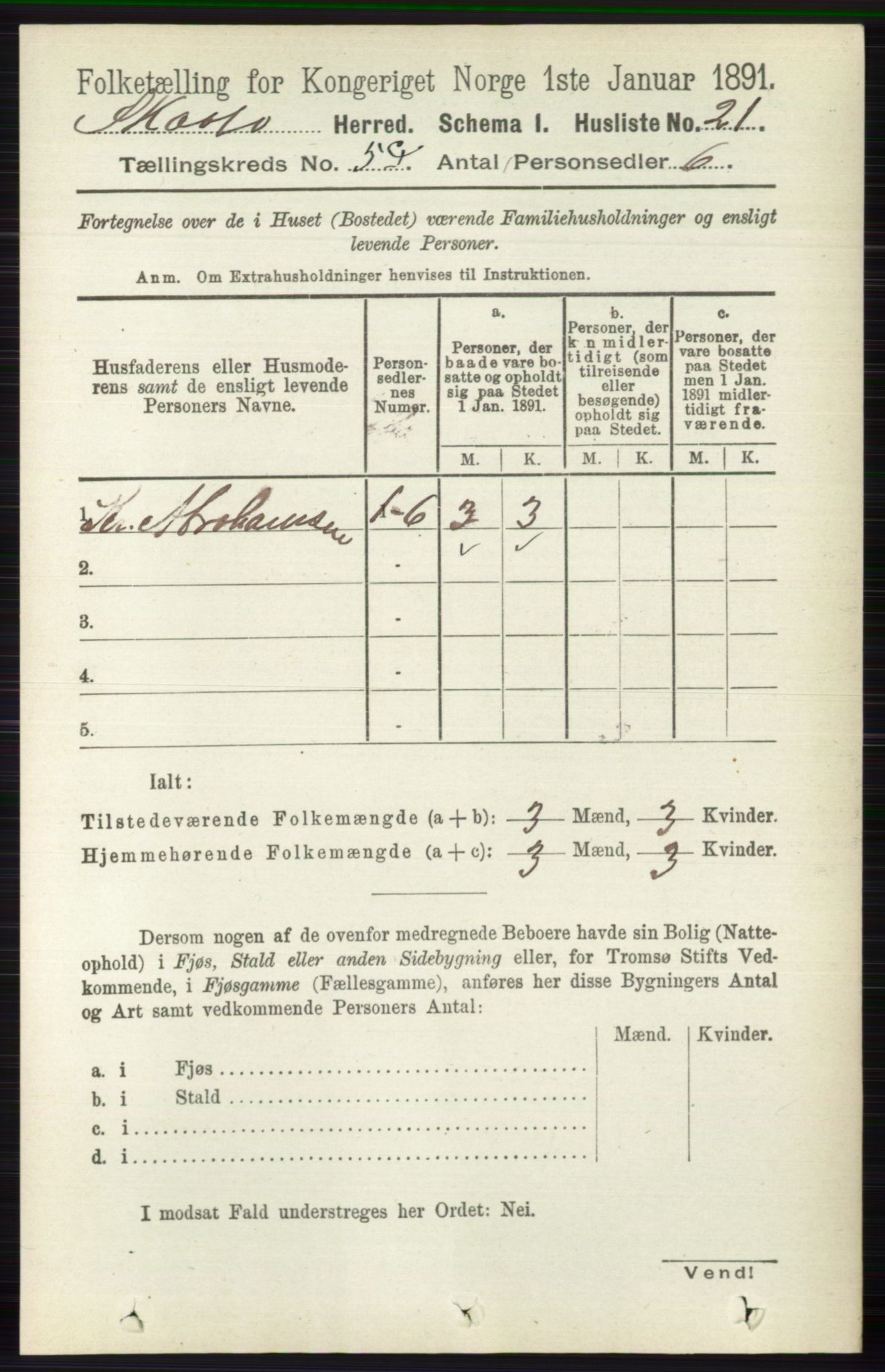 RA, 1891 census for 0815 Skåtøy, 1891, p. 2656