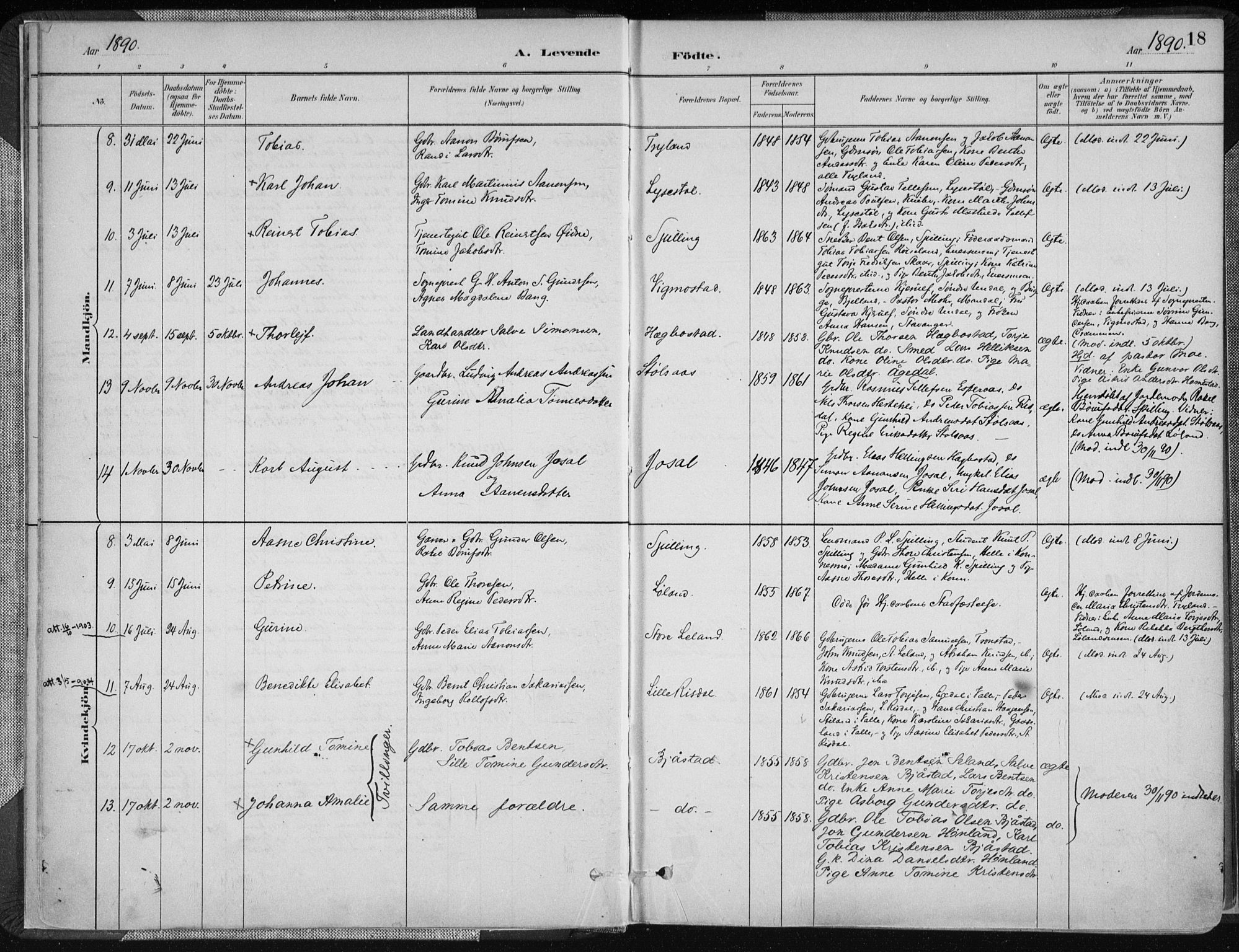 Nord-Audnedal sokneprestkontor, SAK/1111-0032/F/Fa/Fab/L0003: Parish register (official) no. A 3, 1882-1900, p. 18