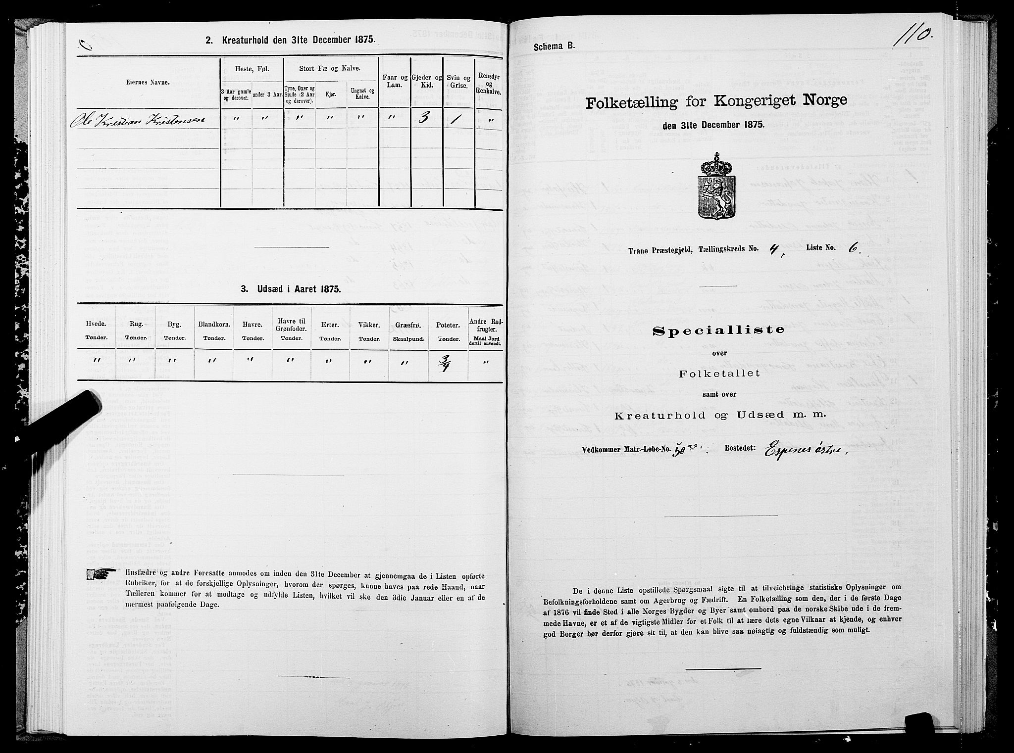 SATØ, 1875 census for 1927P Tranøy, 1875, p. 2110